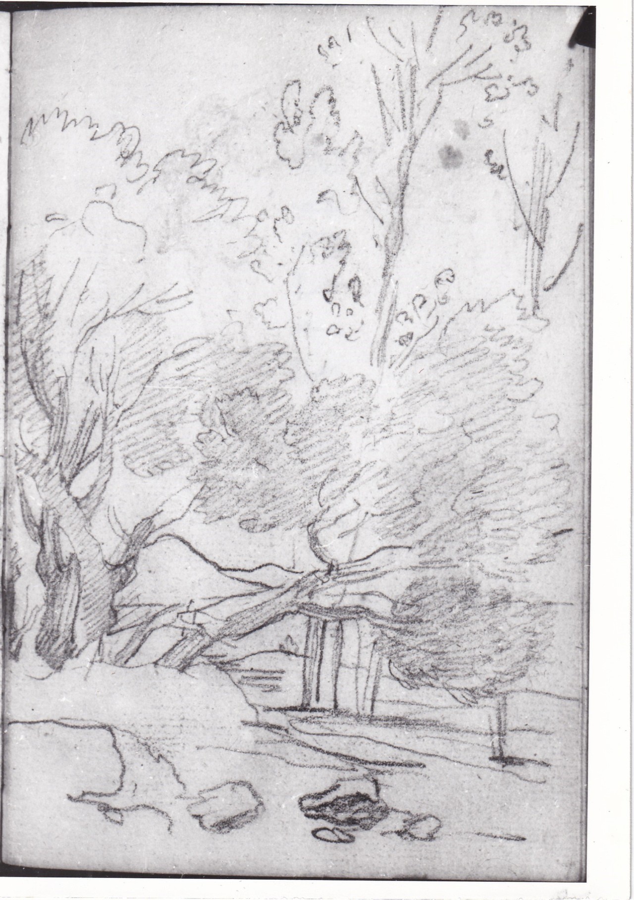 Veduta con albero frondoso (r), Testa maschile coronata di edera (v) (disegno) di Bezzuoli Giuseppe (sec. XIX)