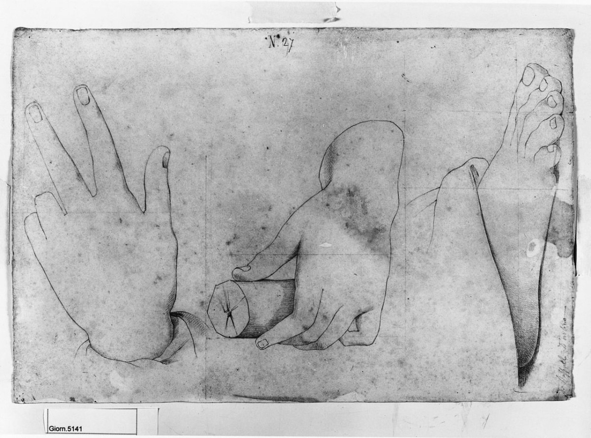 particolari anatomici (disegno) di Saltini Pietro (terzo quarto sec. XIX)