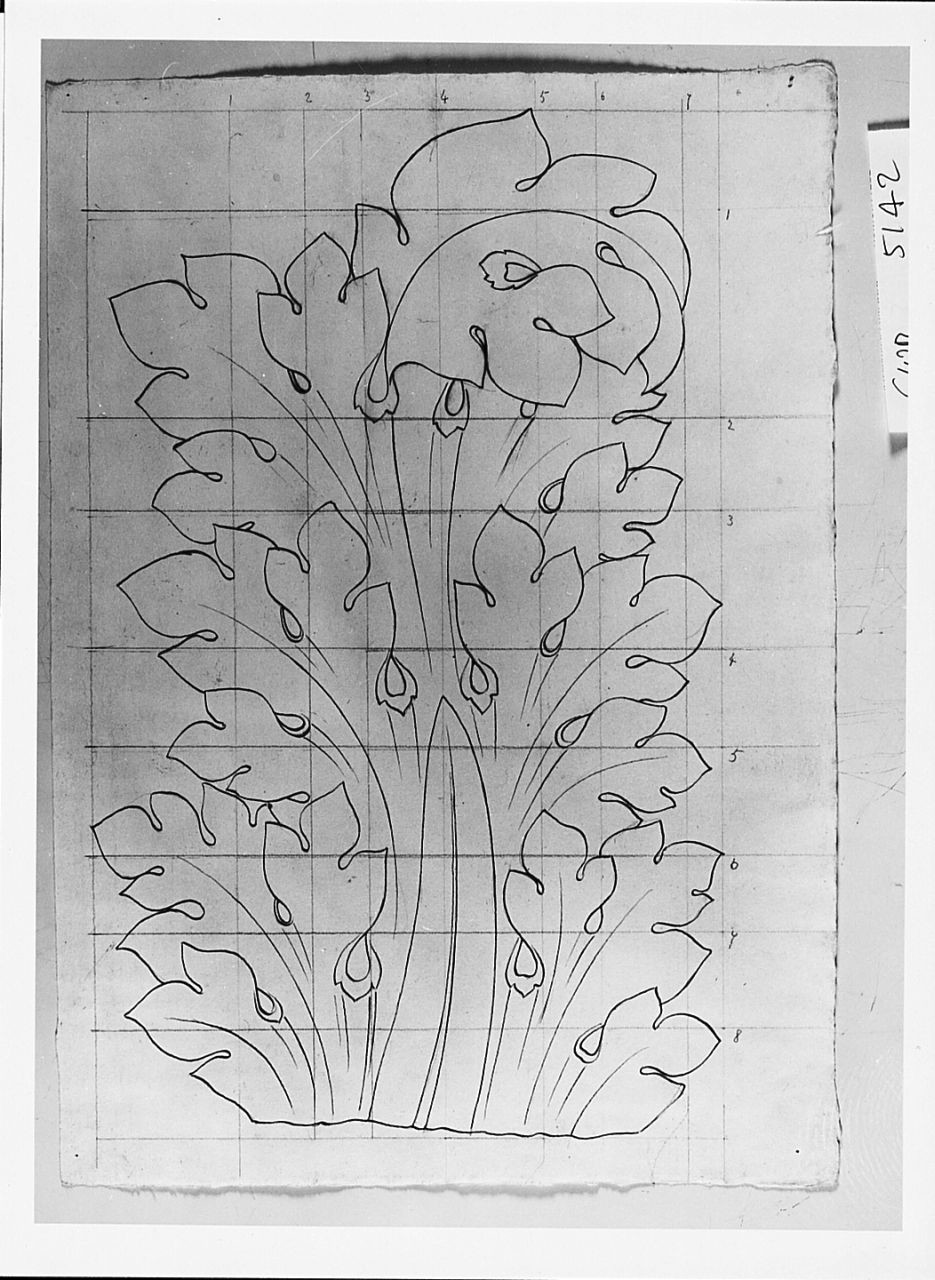 motivi decorativi a foglie d'acanto (disegno) di Saltini Pietro (terzo quarto sec. XIX)