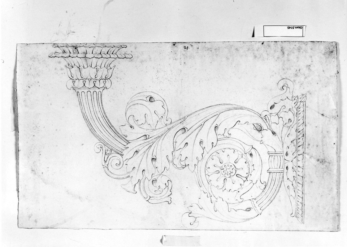 motivi decorativi vegetali (disegno) di Saltini Pietro (terzo quarto sec. XIX)
