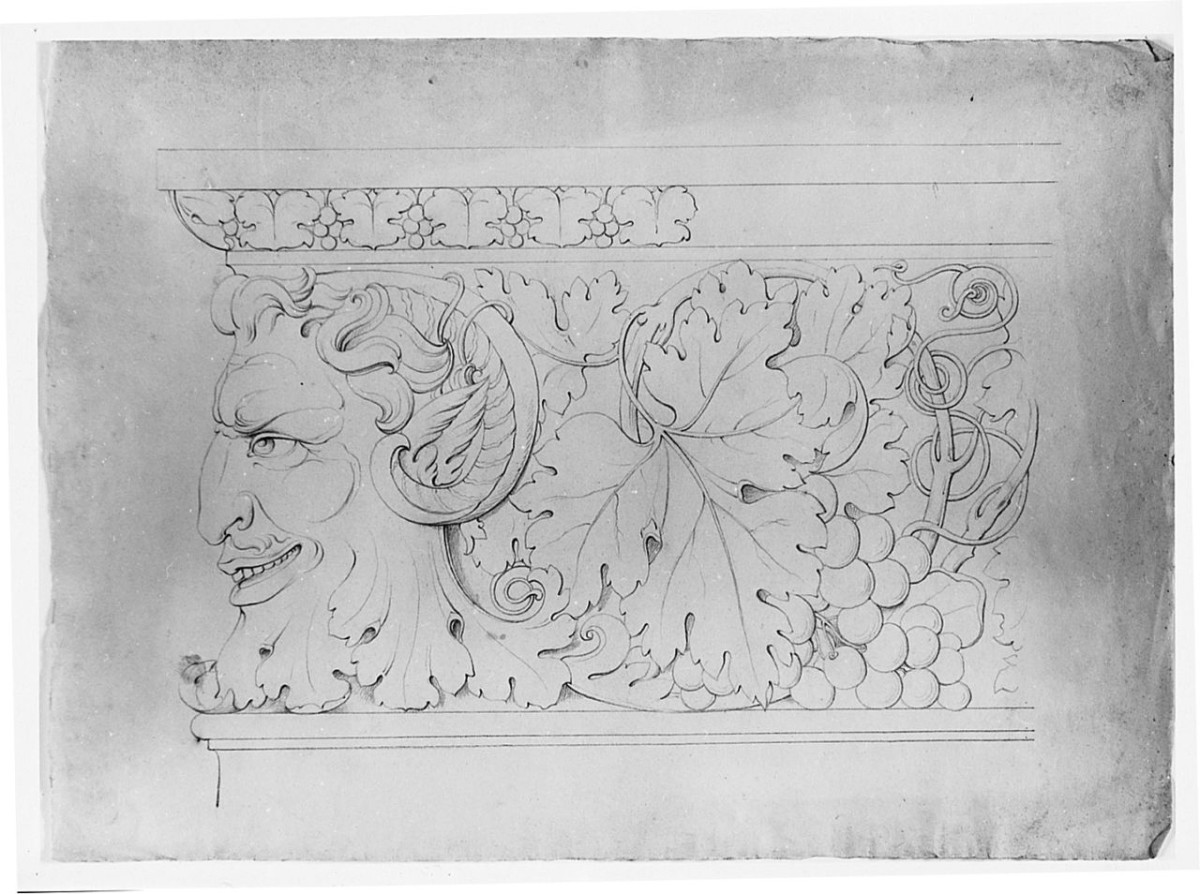 motivi decorativi vegetali e animali (disegno) di Saltini Pietro (terzo quarto sec. XIX)