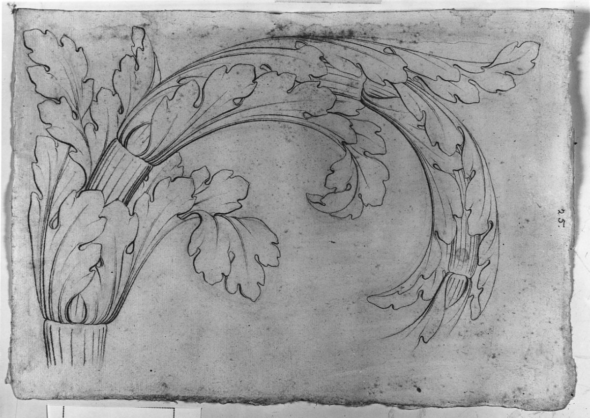 motivi decorativi a girali vegetali (disegno) di Saltini Pietro (terzo quarto sec. XIX)
