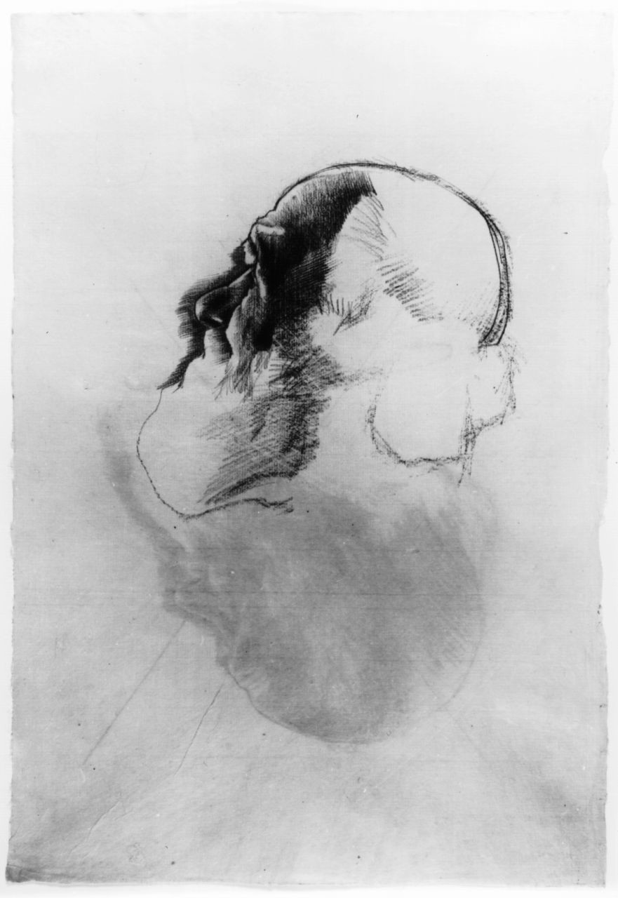 testa d'uomo con barba, testa d'uomo con barba (disegno) di Marchig Giannino (sec. XX)