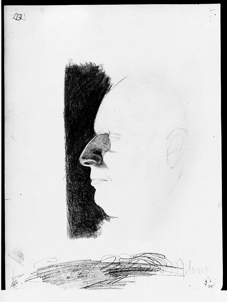 testa d'uomo di profilo (disegno) di Ancillotti Goretti Beatrice (sec. XX)