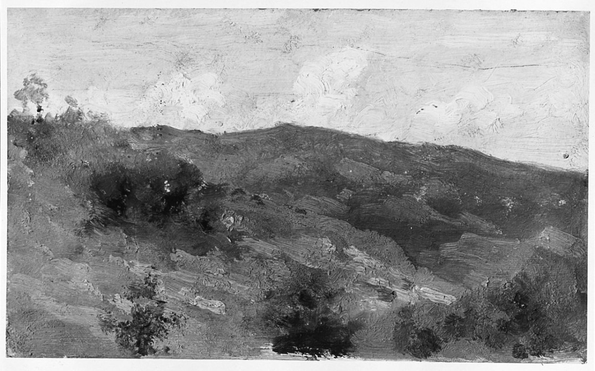 paesaggio (dipinto) di Bruzzi Stefano (seconda metà sec. XIX)