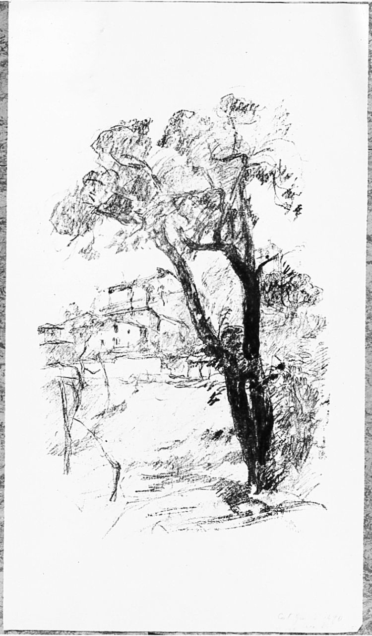 paesaggio con alberi (stampa) di Graziosi Giuseppe (secondo quarto sec. XX)