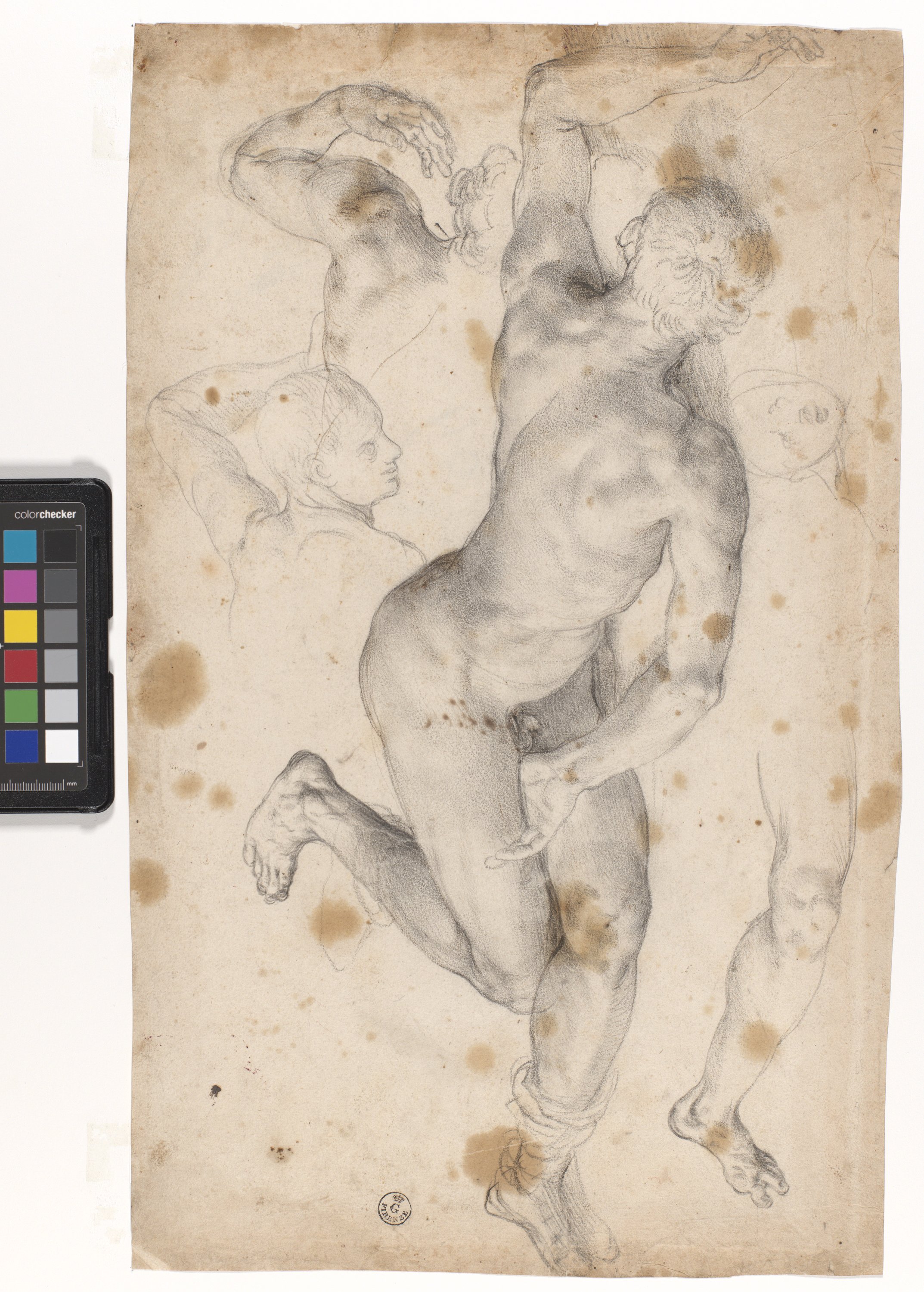 studi vari di figura maschile nuda giacente a terra (disegno) di Allori Alessandro (fine/ inizio XVI/ XVII)