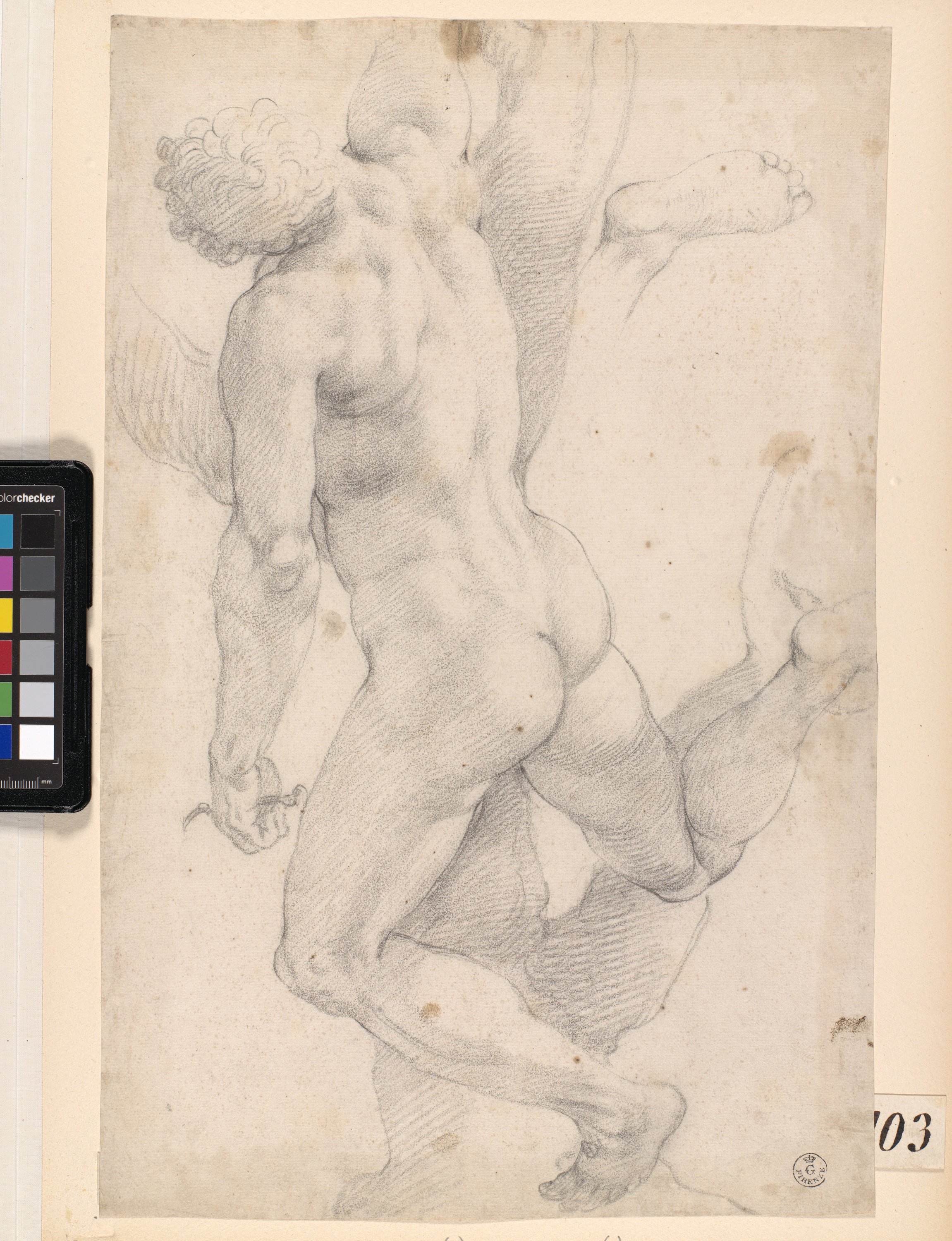 figura maschile nuda sospesa a un albero (disegno) di Allori Alessandro (ultimo quarto XVI)