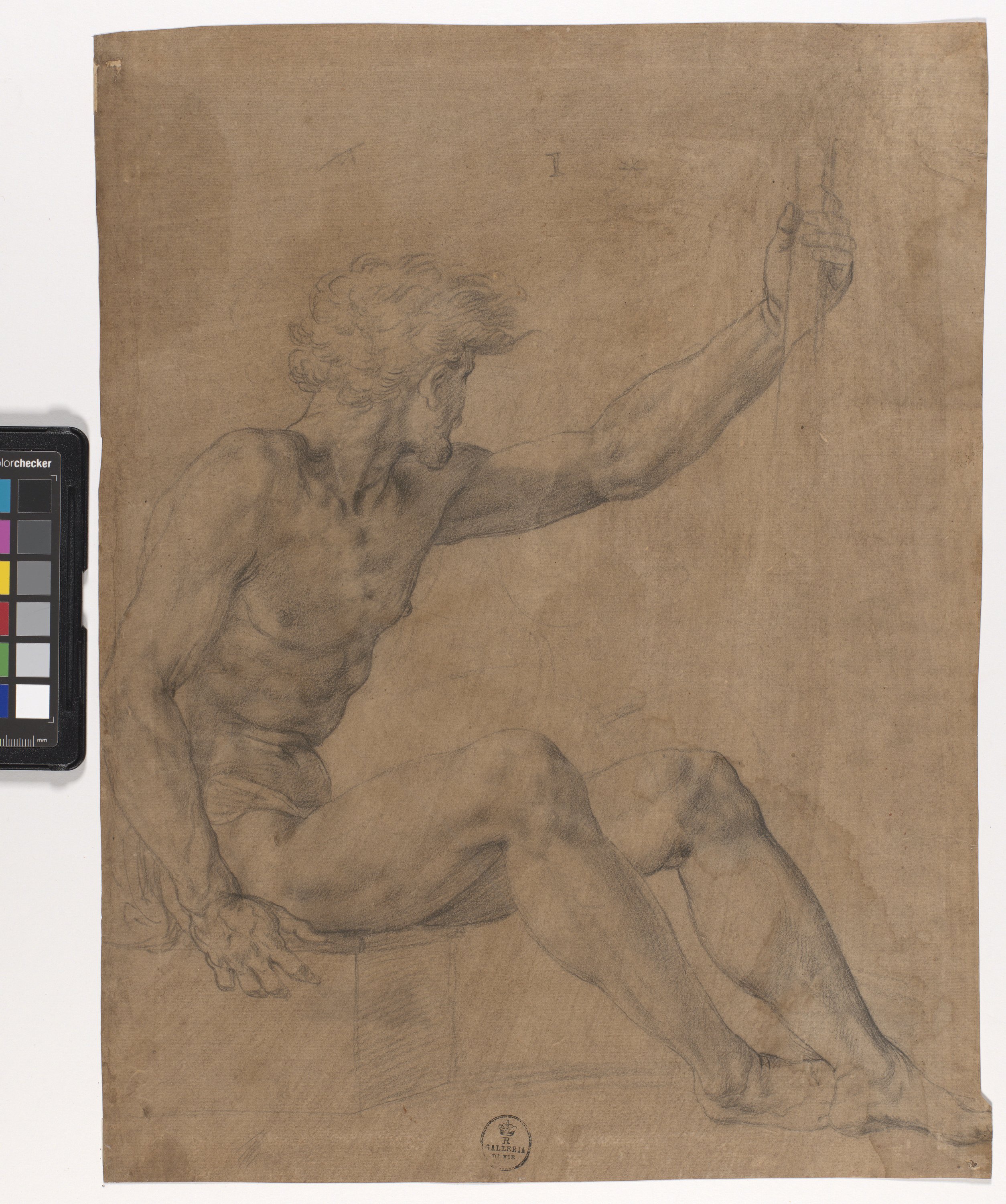 figura maschile nuda seduta di profilo a destra con bastone (disegno) di Allori Alessandro (seconda metà XVI)