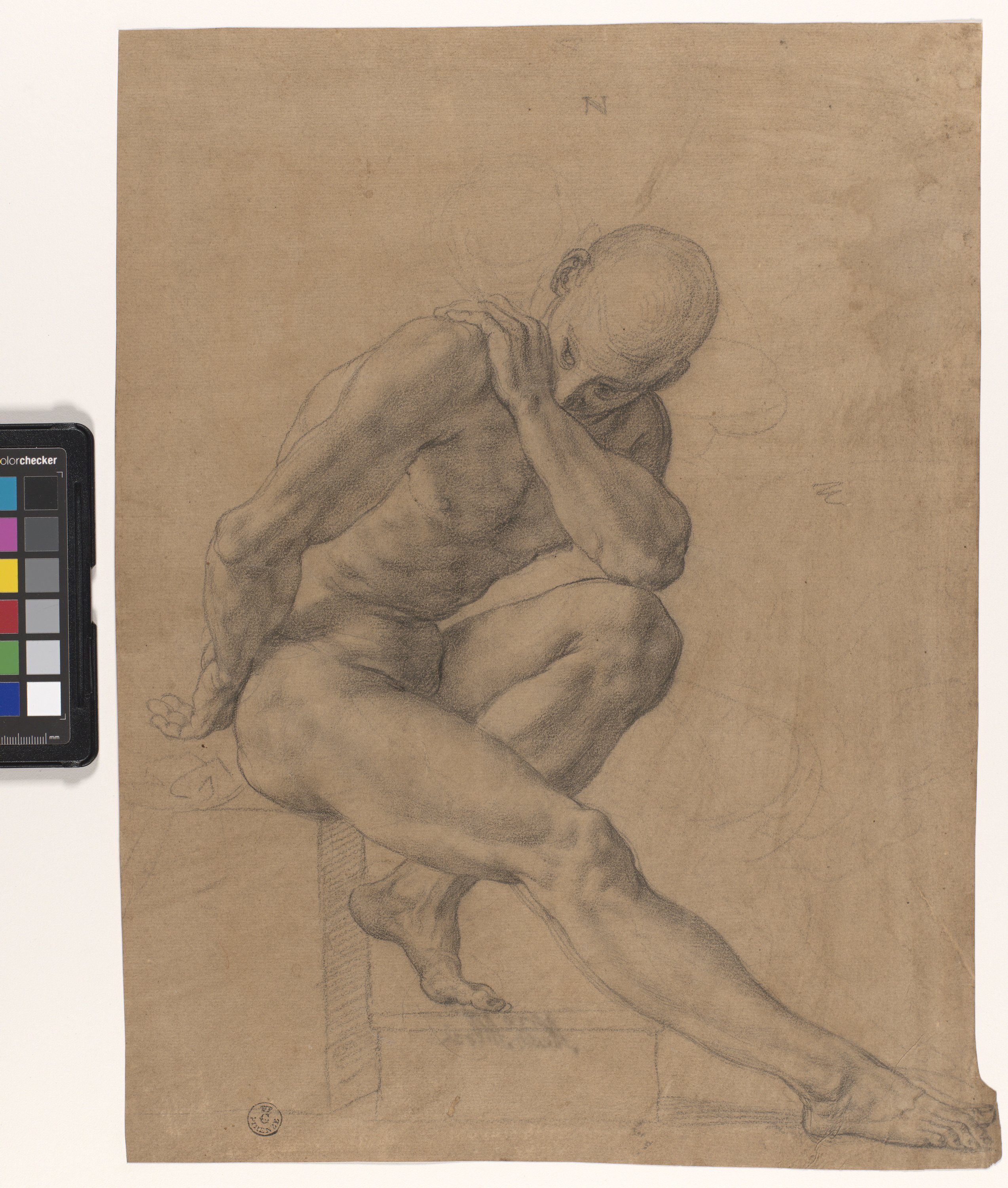 figura maschile nuda volta a destra (disegno) di Allori Alessandro (seconda metà XVI)