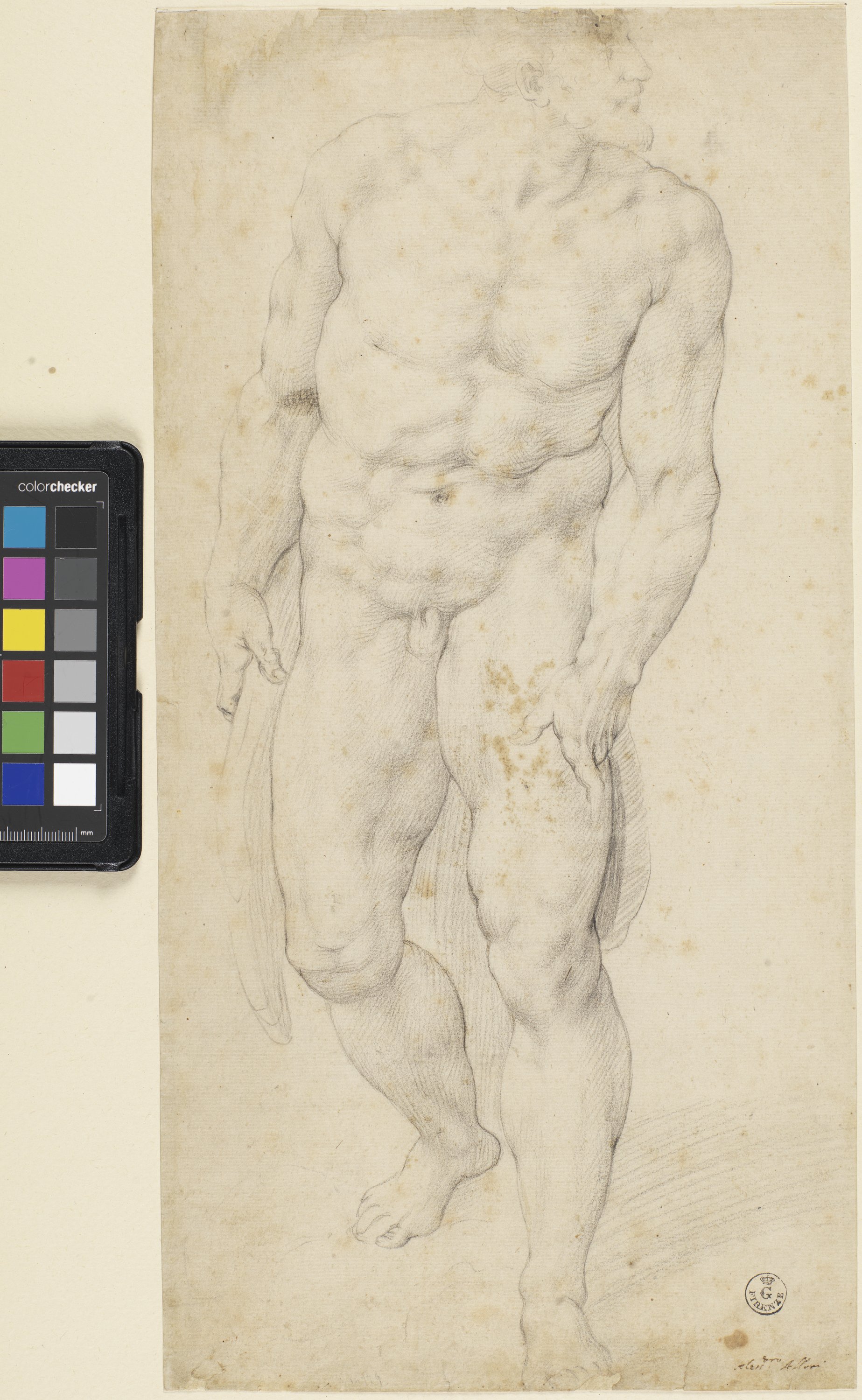 Studio di nudo maschile visto di fronte (disegno) di Allori Alessandro (XVI)
