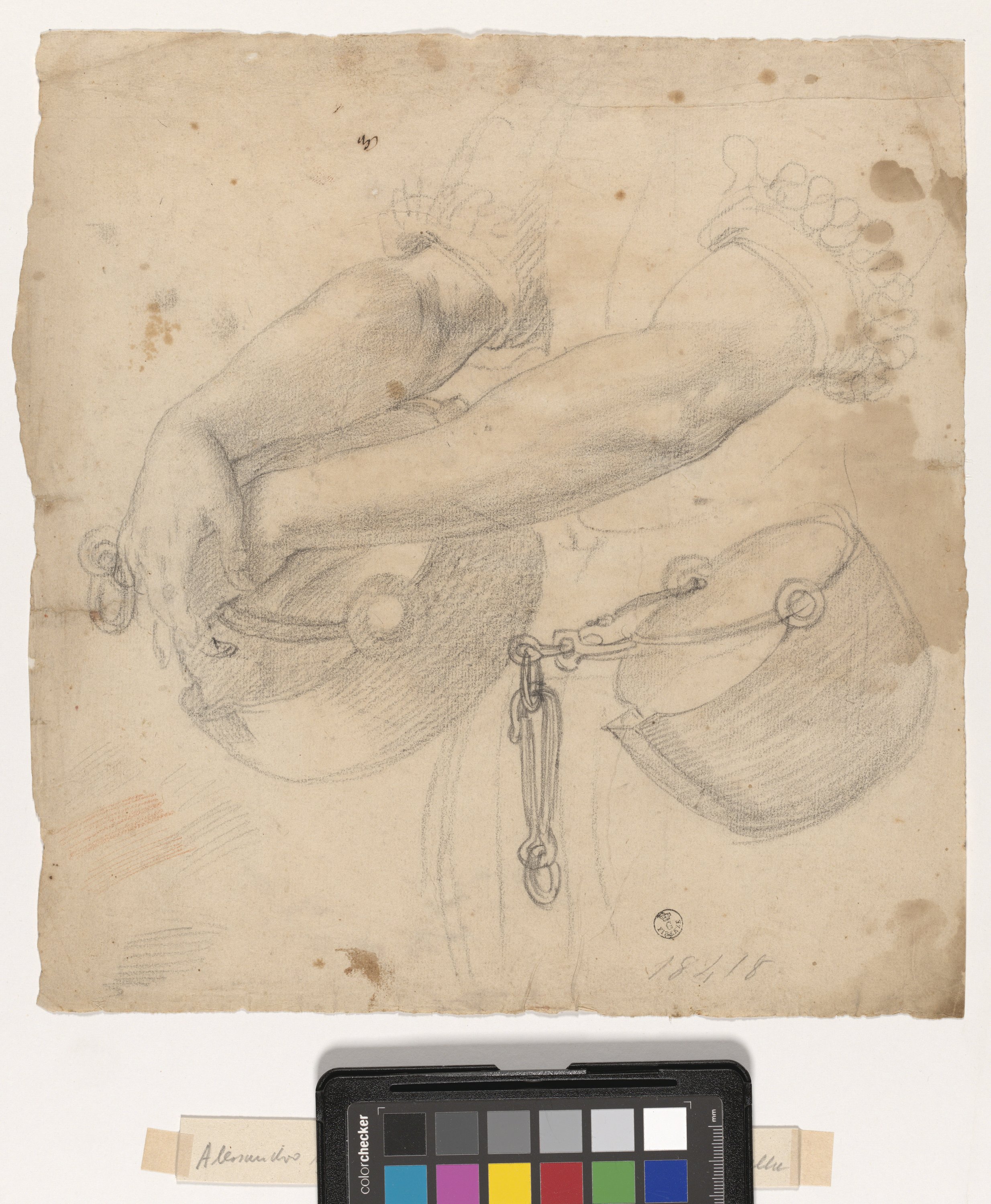 Studio di due braccia incrociate su un secchio (disegno) di Allori Alessandro (XVI)
