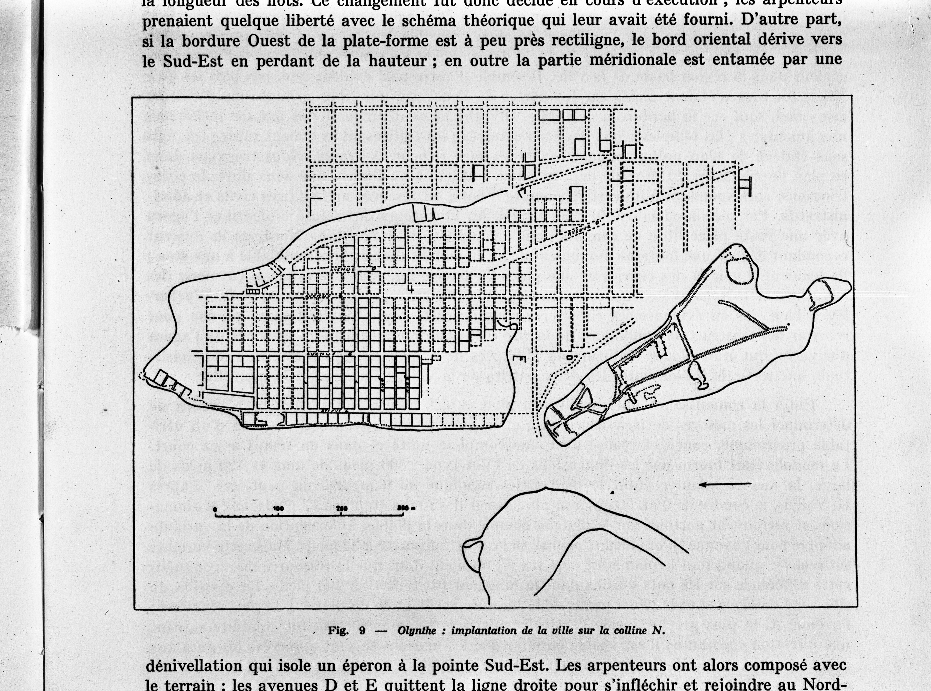 Olinto (lastra) di Anonimo (prima metà XX)