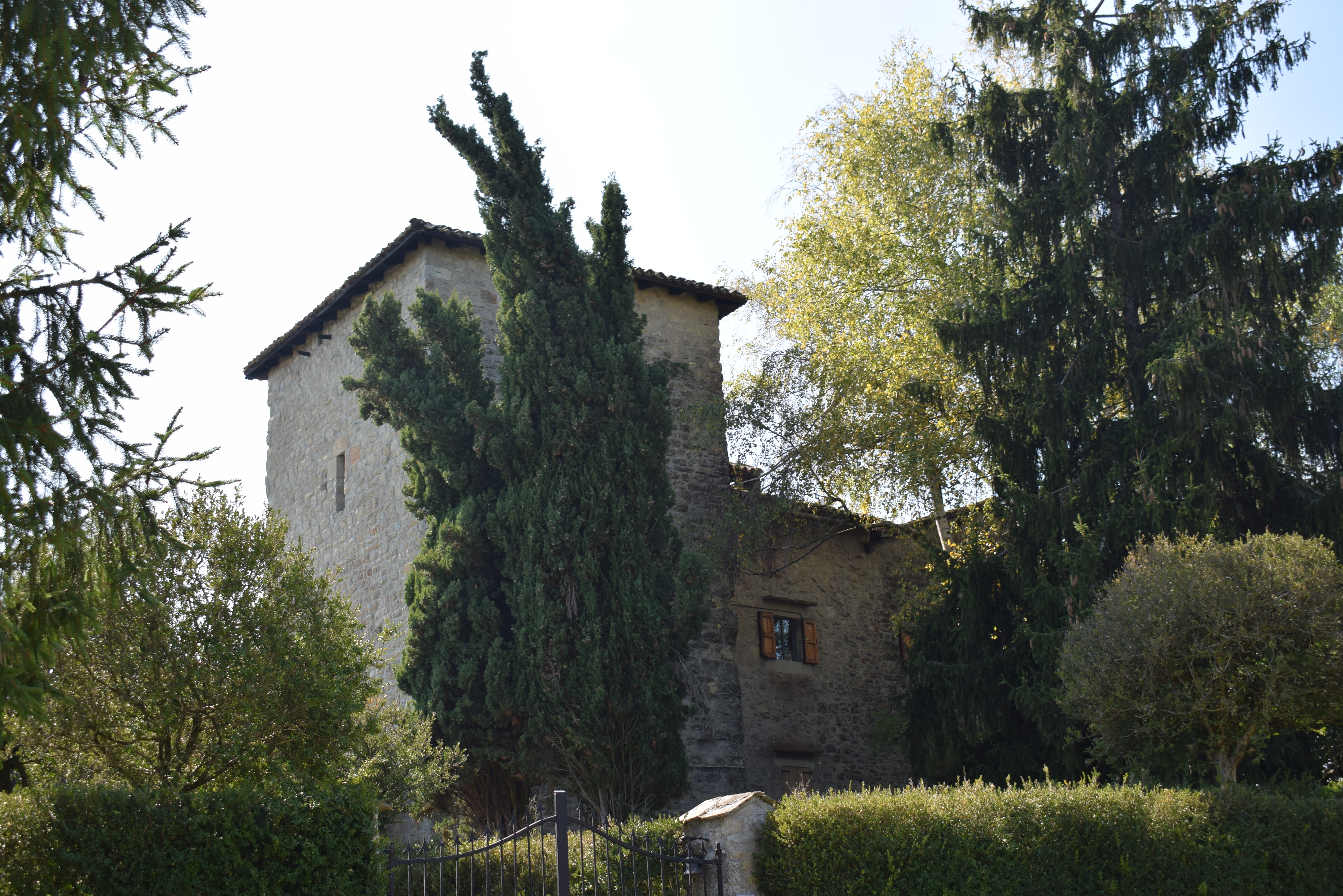 Castello di Monterastello (castello, feudale) - Pavullo nel Frignano (MO) 