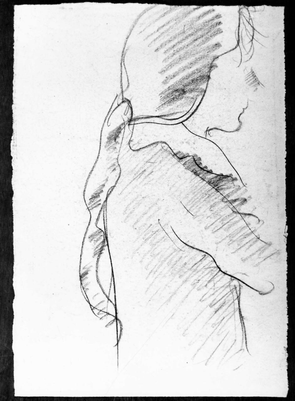 ritratto di donna (disegno) di Longhi Roberto (sec. XX)