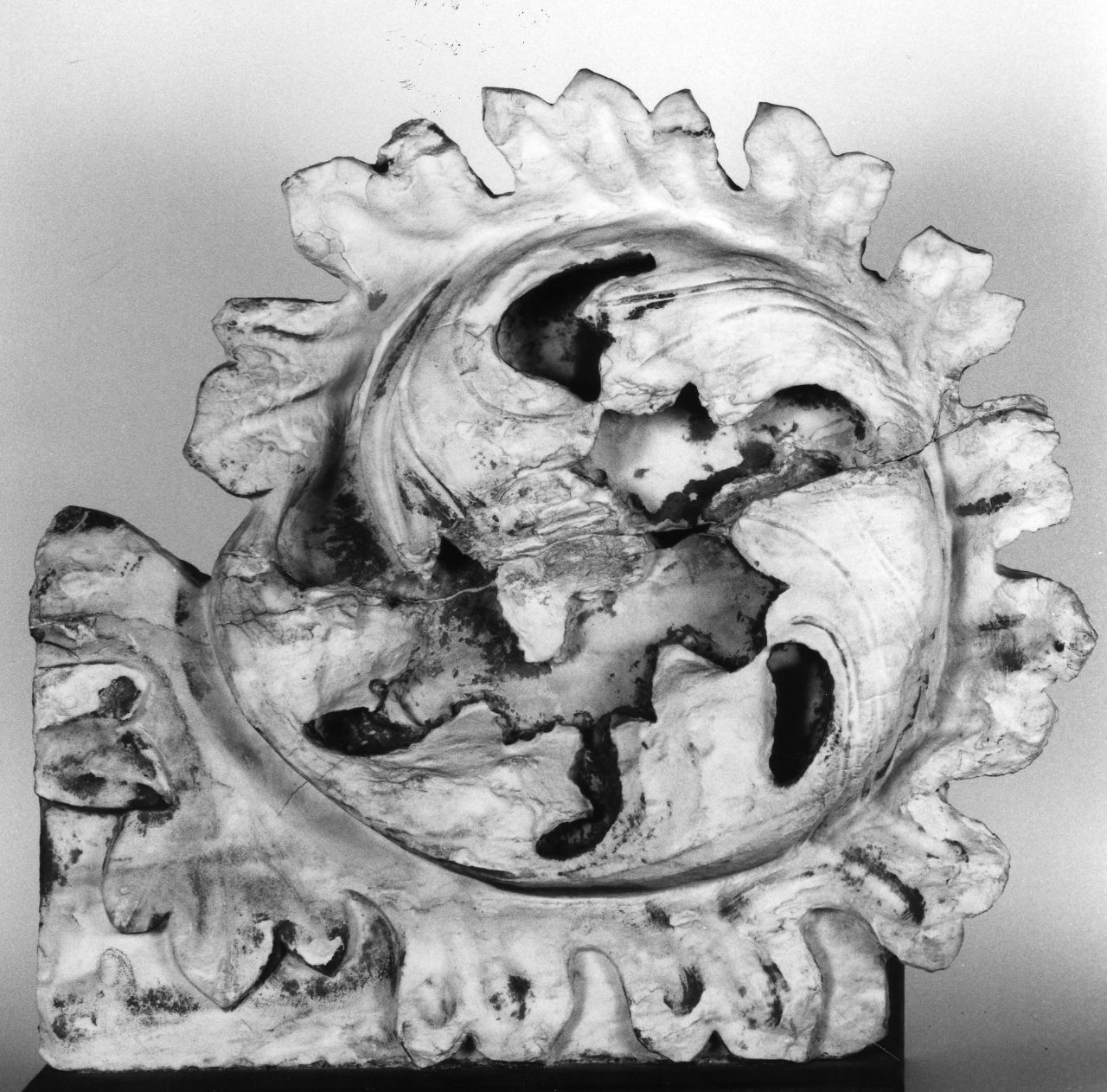 foglia d'acanto (decorazione plastica, frammento) di Talenti Francesco (bottega) (seconda metà sec. XIV)
