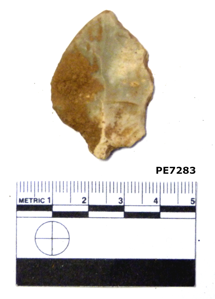 raschiatoio (PERIODIZZAZIONI/ ARCHI DI PERIODI/ Paleolitico - Età del bronzo)