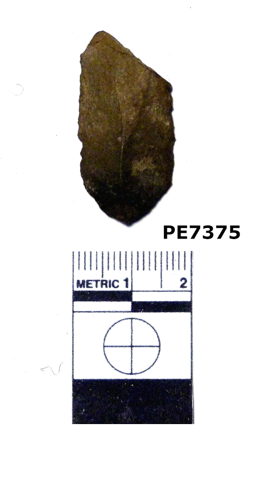 lama (PERIODIZZAZIONI/ ARCHI DI PERIODI/ Paleolitico - Età del bronzo)