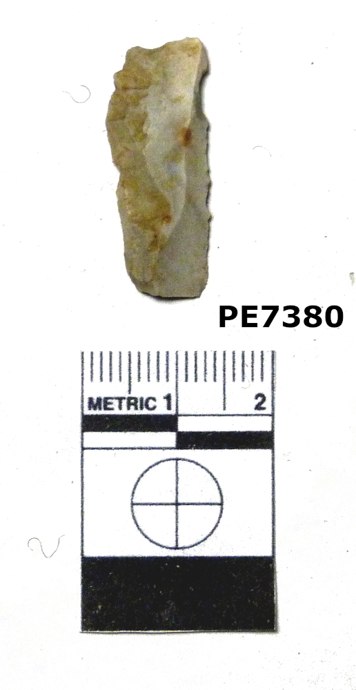 lama (PERIODIZZAZIONI/ ARCHI DI PERIODI/ Paleolitico - Età del bronzo)