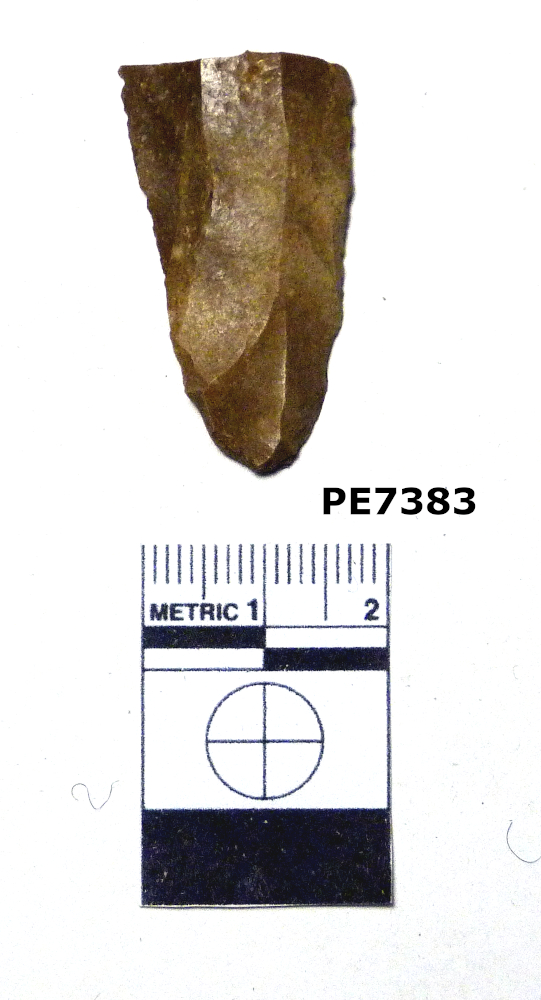 lama (PERIODIZZAZIONI/ ARCHI DI PERIODI/ Paleolitico - Età del bronzo)