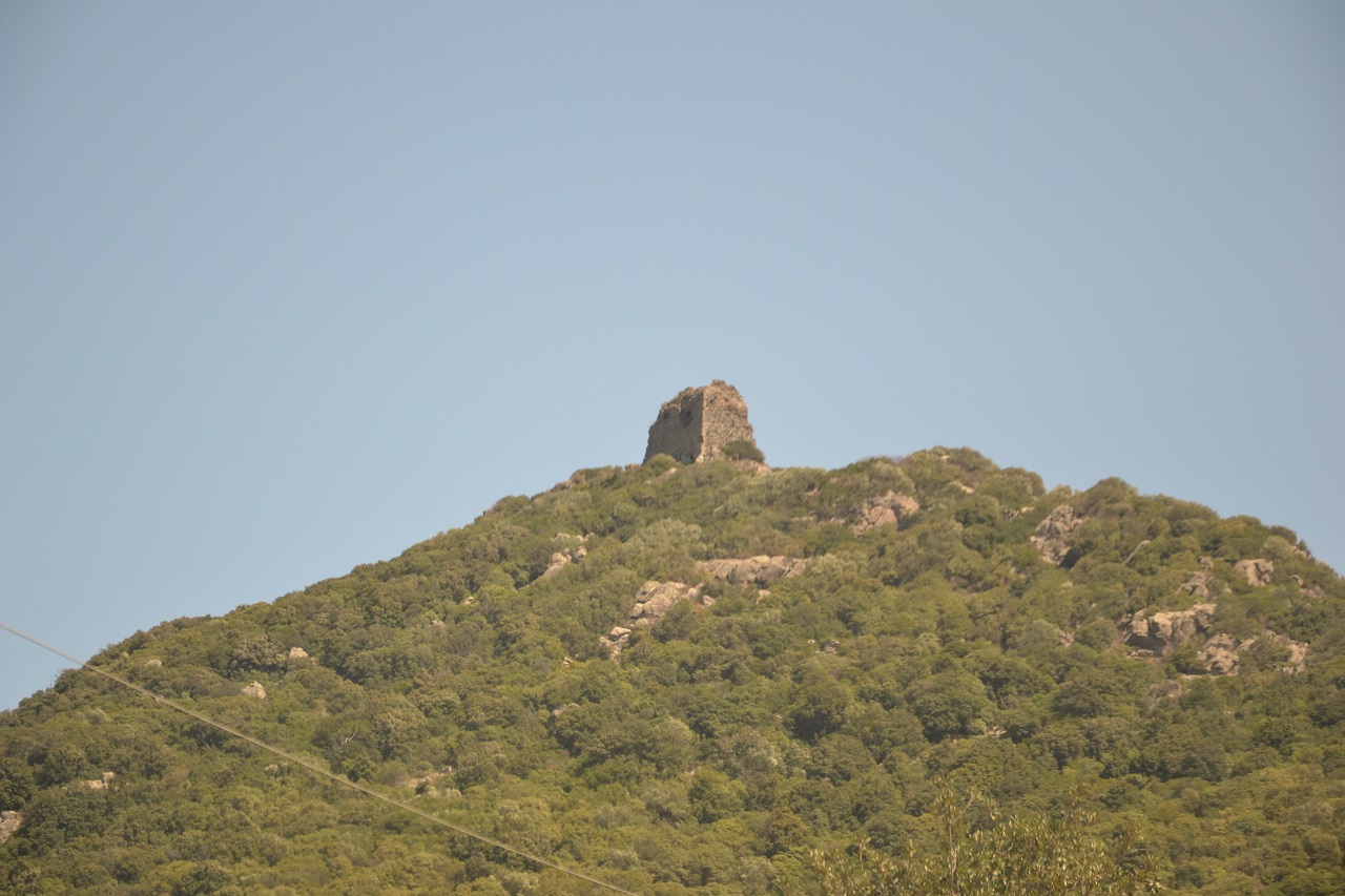 Castello di Gioiosa Guardia (castello) - Villamassargia (SU)  (XIII)