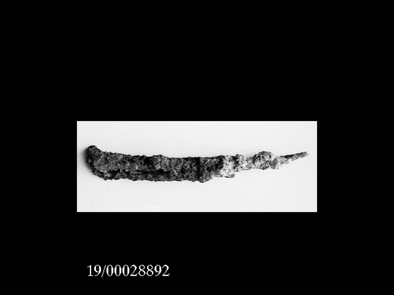 fibula (inizio SECOLI/ VI a.C)