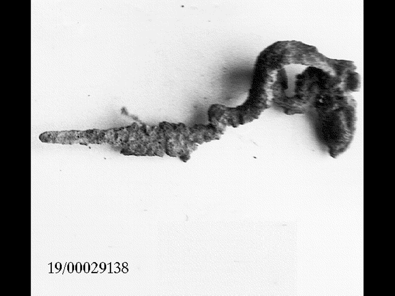 fibula ad arco serpeggiante (SECOLI/ VII a.C)