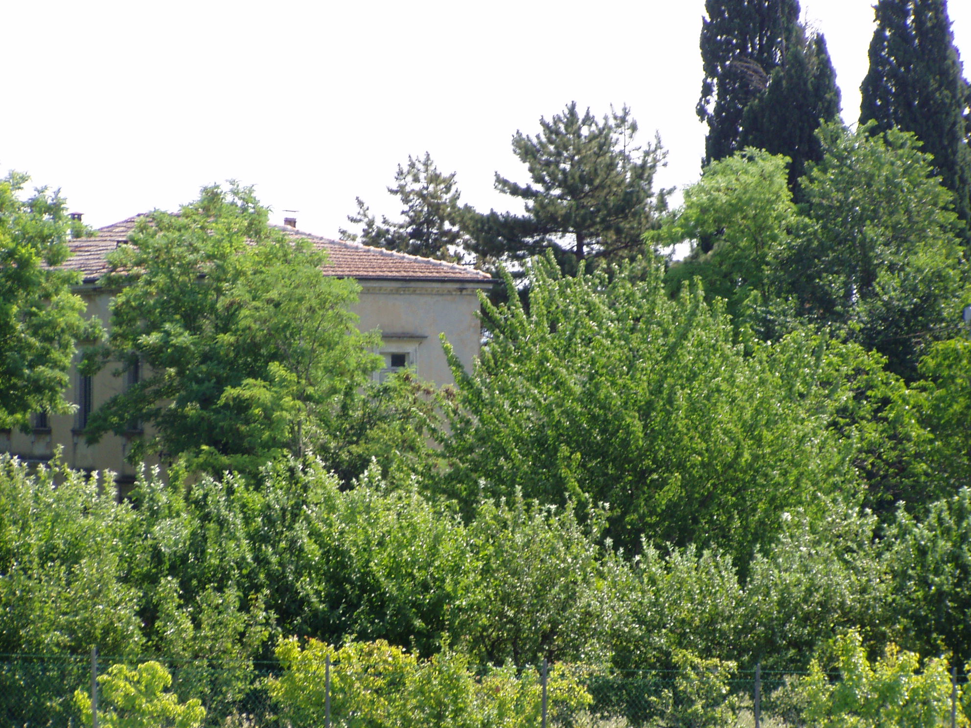 Villa Maria (villa extraurbana, nobiliare) - Fossombrone (PU) 