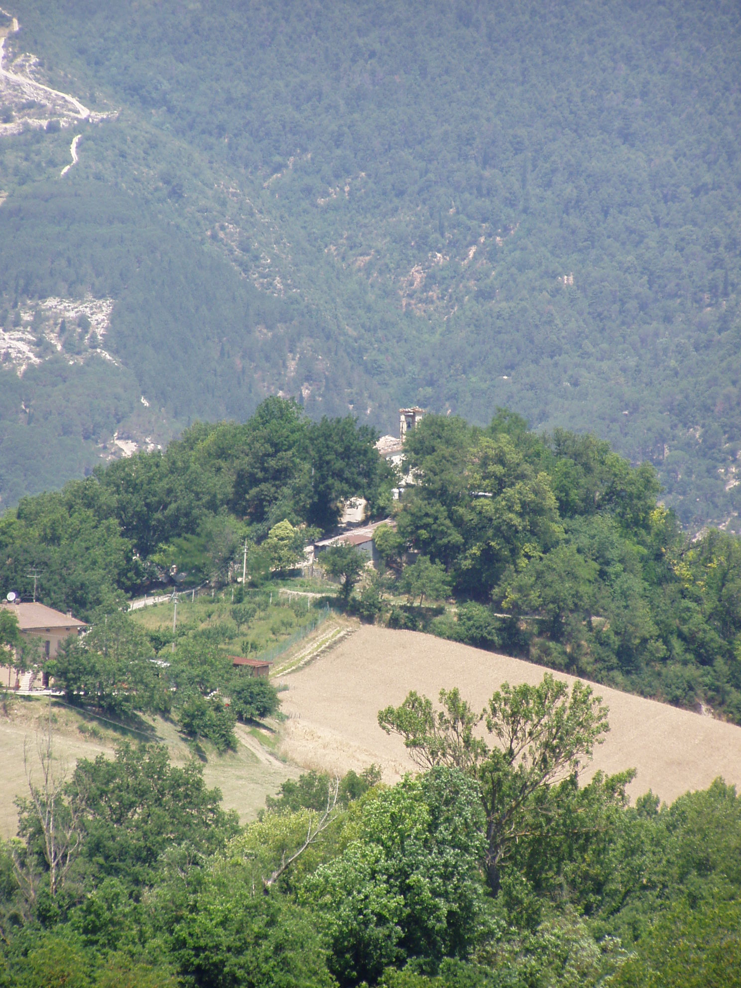 Chiesa dei Ss. Gabriele dell'Addolorata e Martino (chiesa, parrocchiale) - Fossombrone (PU) 