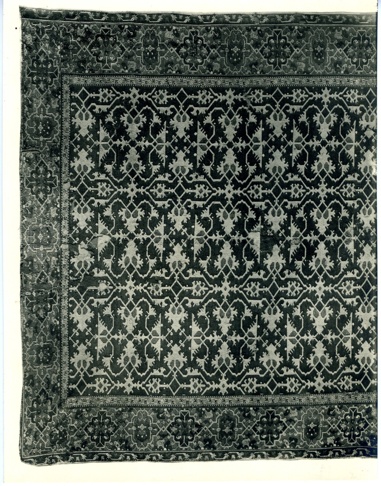 tappeto turco (positivo) di anonimo - manifattura Asia Minore, Ushak (?), secc. XVI-XVII (prima metà XX)