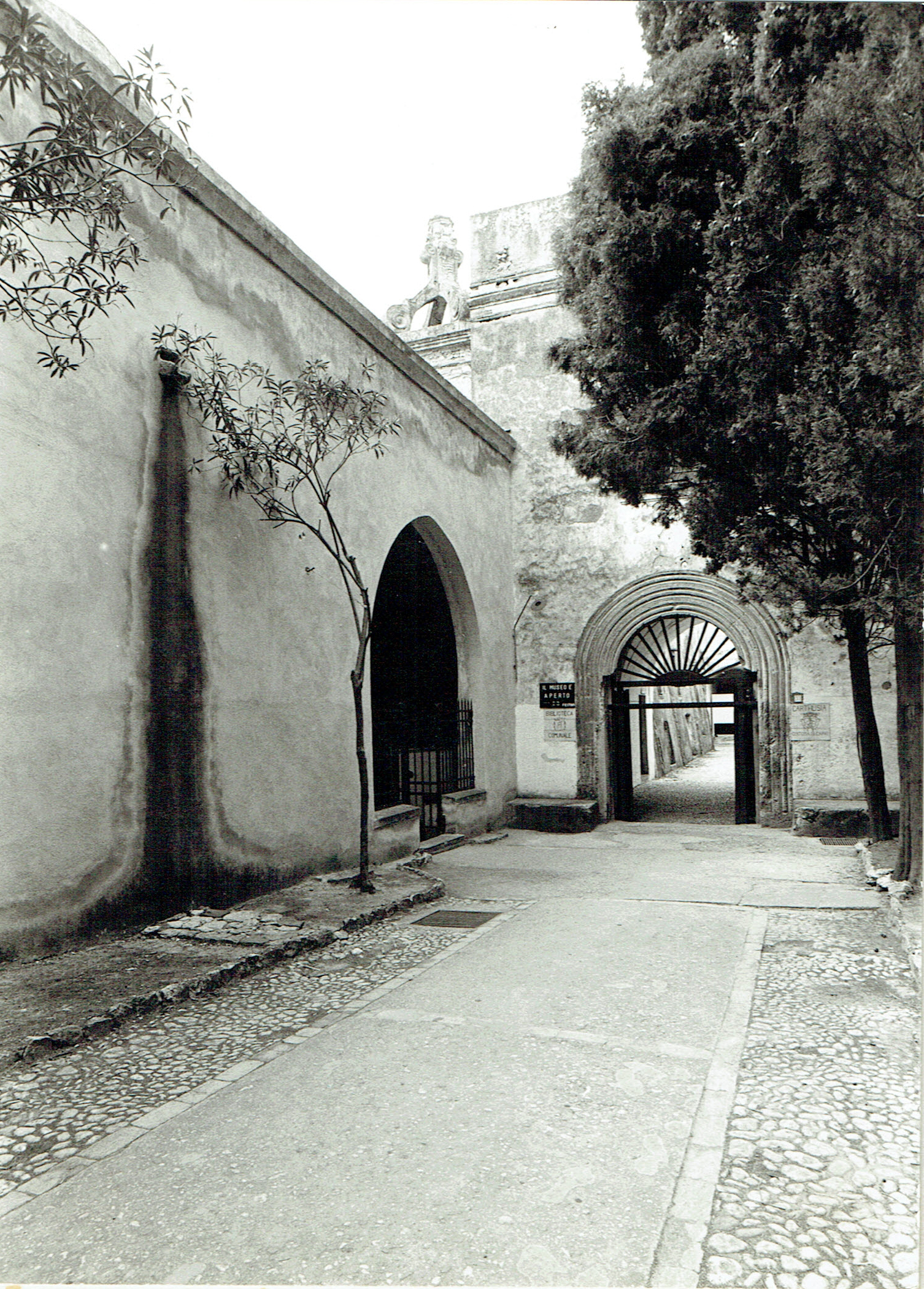 Certosa/ viale d'ingresso e portale (certosa) - Capri (NA) 