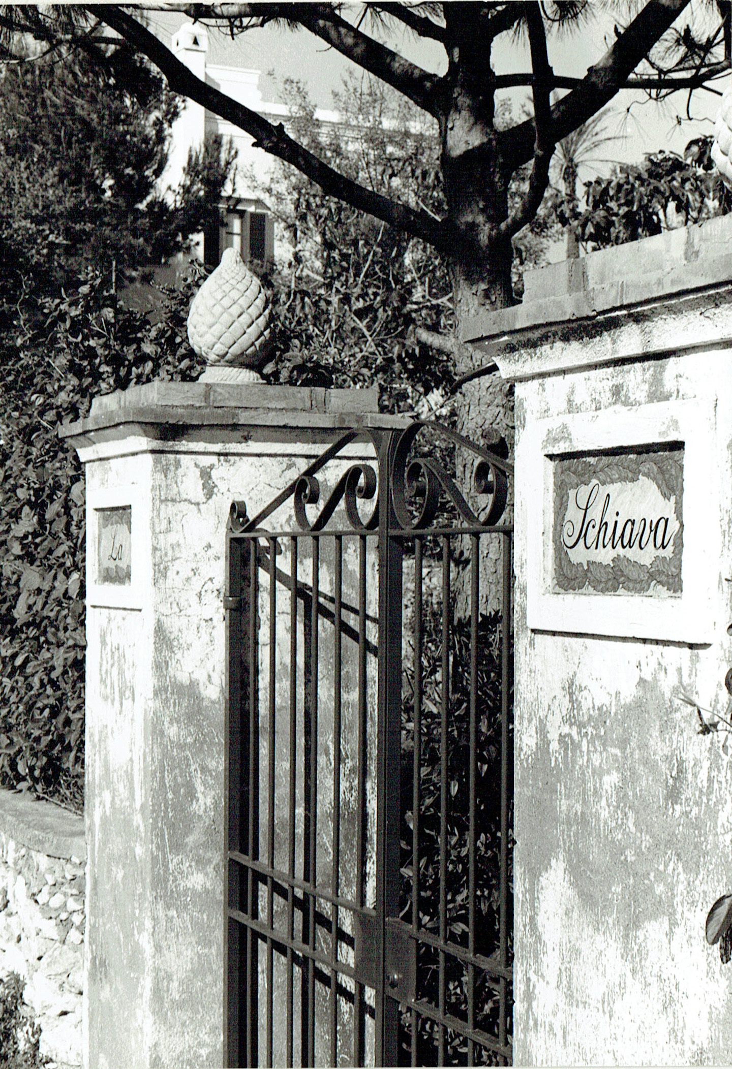 Villa La Schiava (villa, privata) - Capri (NA) 