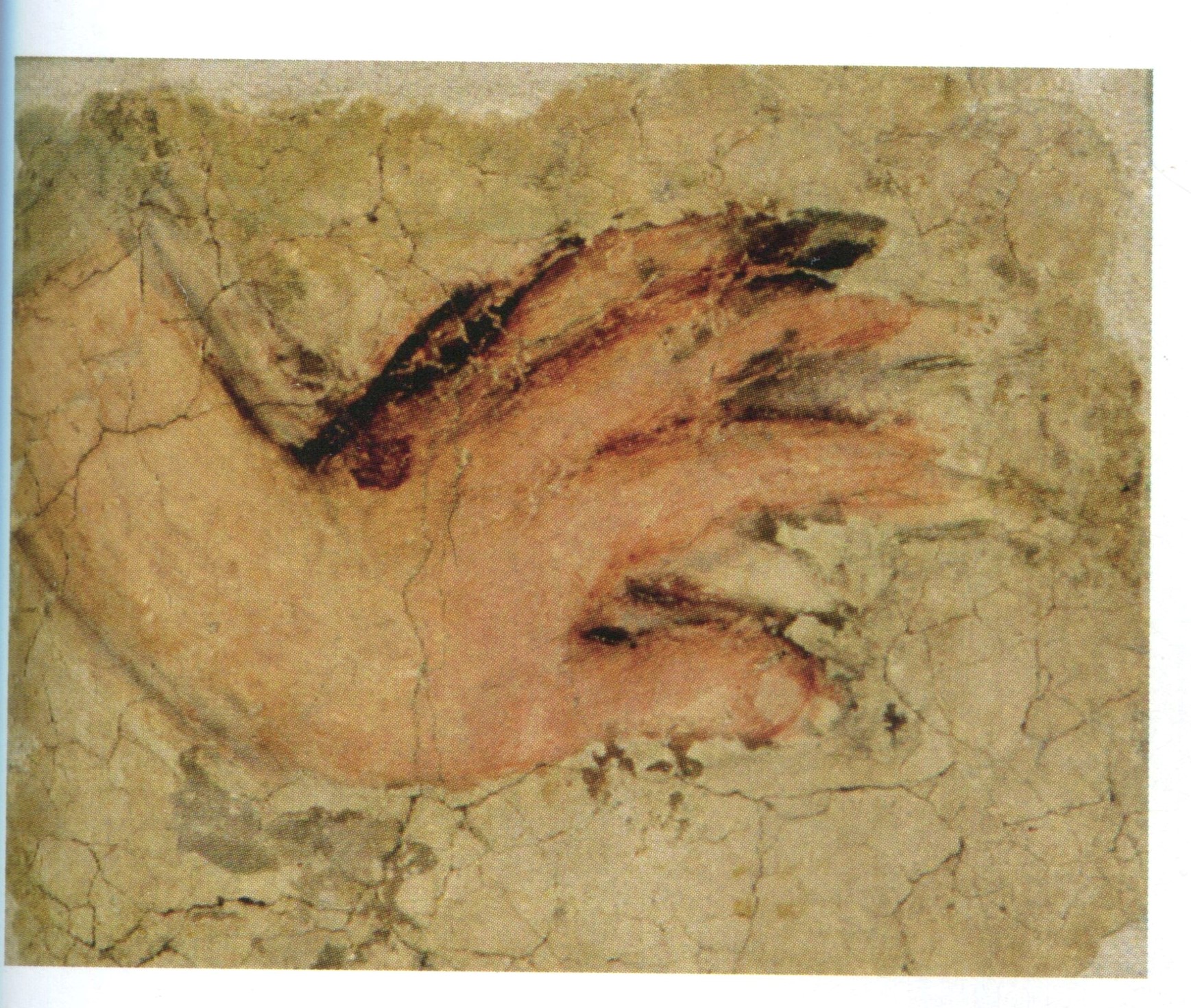 Mano appartenente a una figura accovacciata, Mano (affresco, frammento) di Giovanni Antonio de' Sacchis (attribuito) - ambito friulano (prima metà XVI)