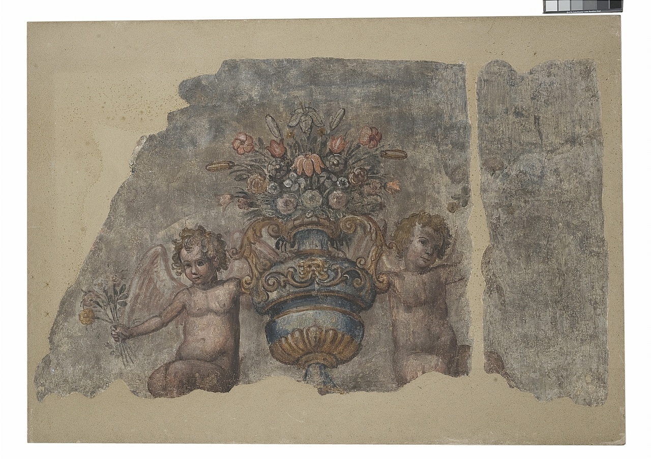 motivi decorativi vegetali con putti alati (dipinto murale staccato, frammento) - ambito fiorentino (seconda metà sec. XVI)