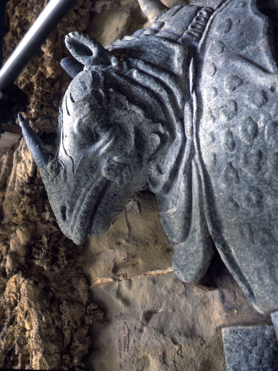 rinoceronte (scultura) di Pericoli Niccolò detto Tribolo (cerchia) (sec. XVI)