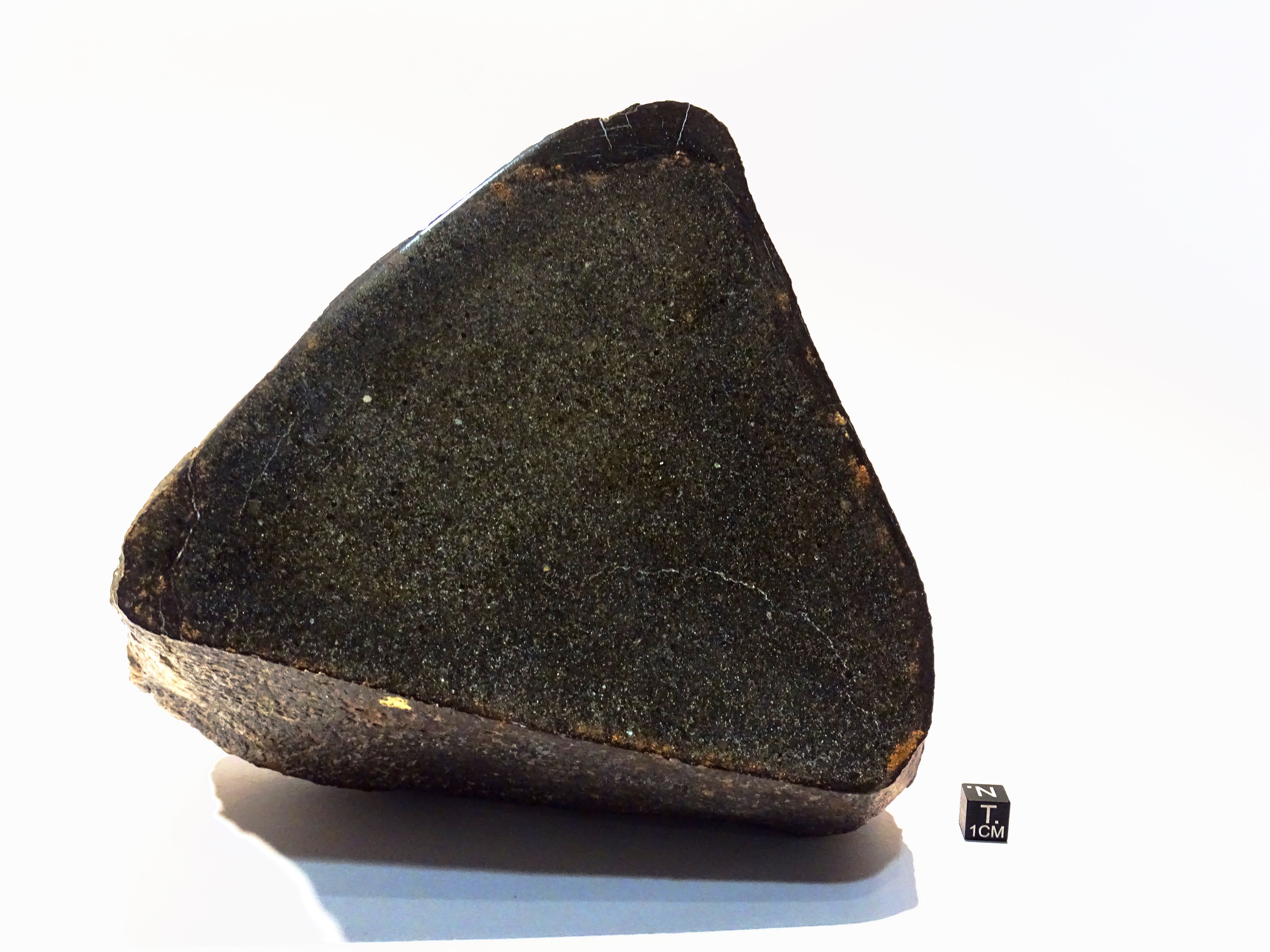 Meteorite/ Condrite ordinaria/ Dhofar 131 (esemplare)