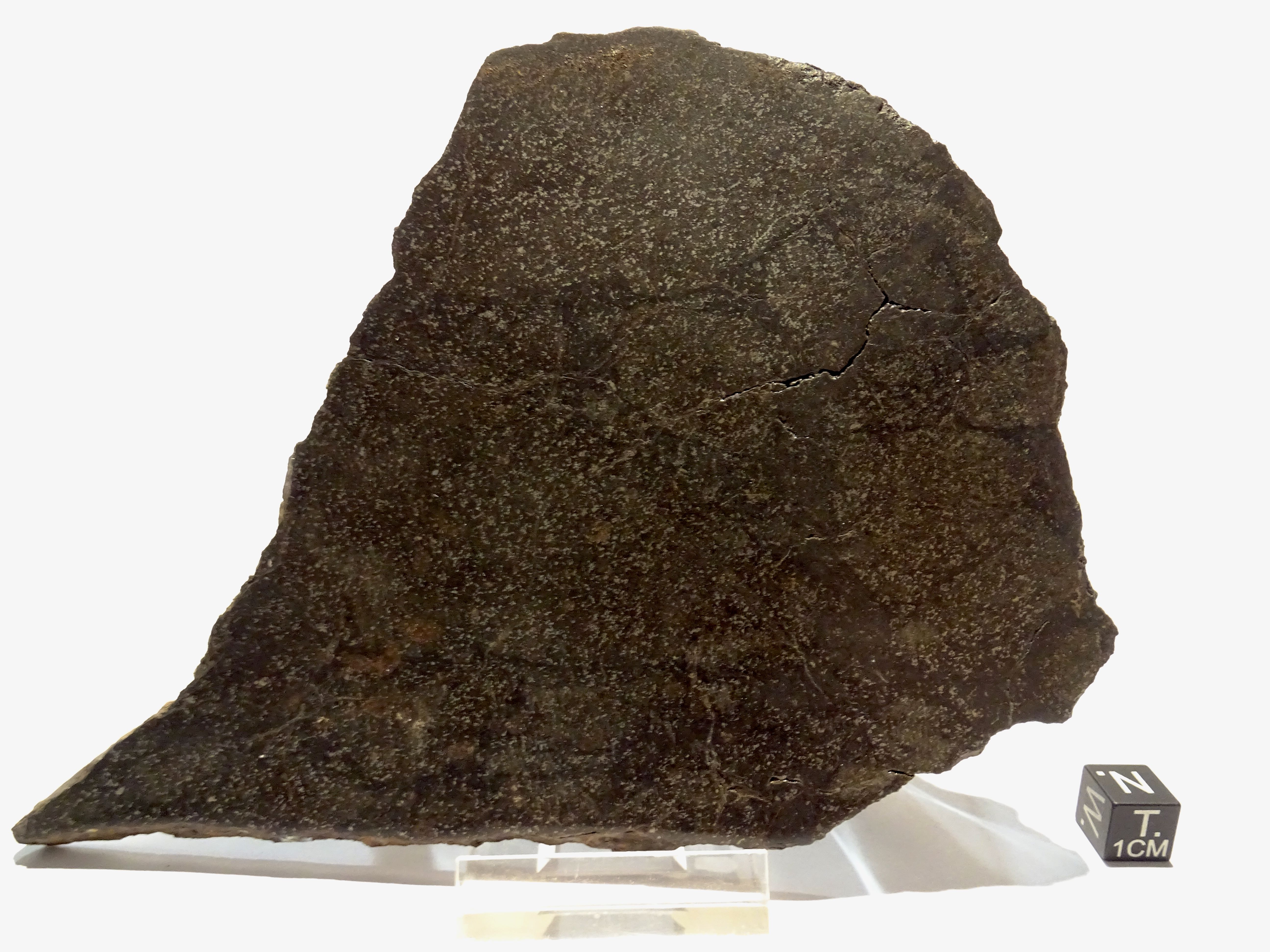 Meteorite/ Condrite ordinaria/ Vyatka (esemplare)