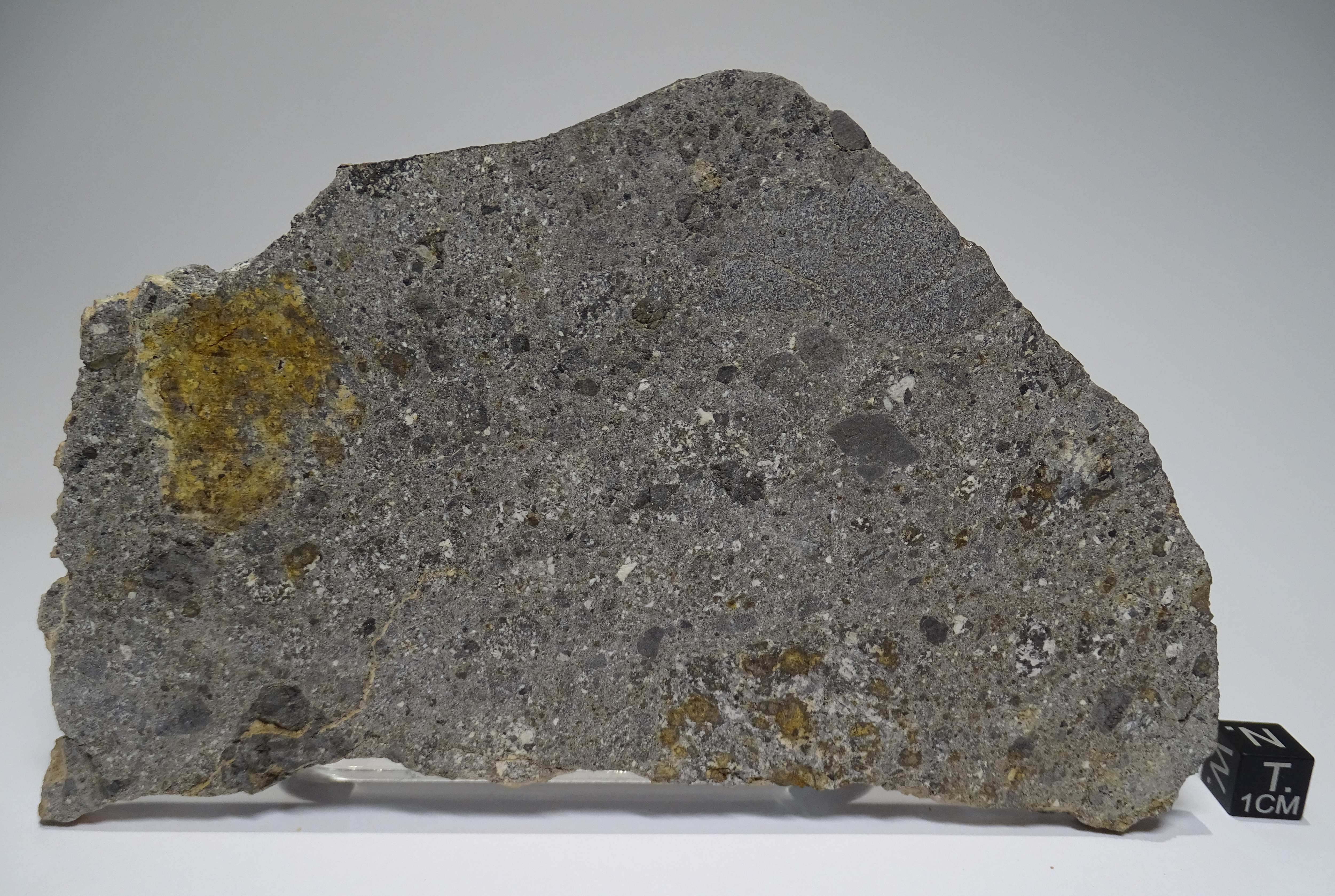 Meteorite/ Eucrite/ Smara (esemplare)