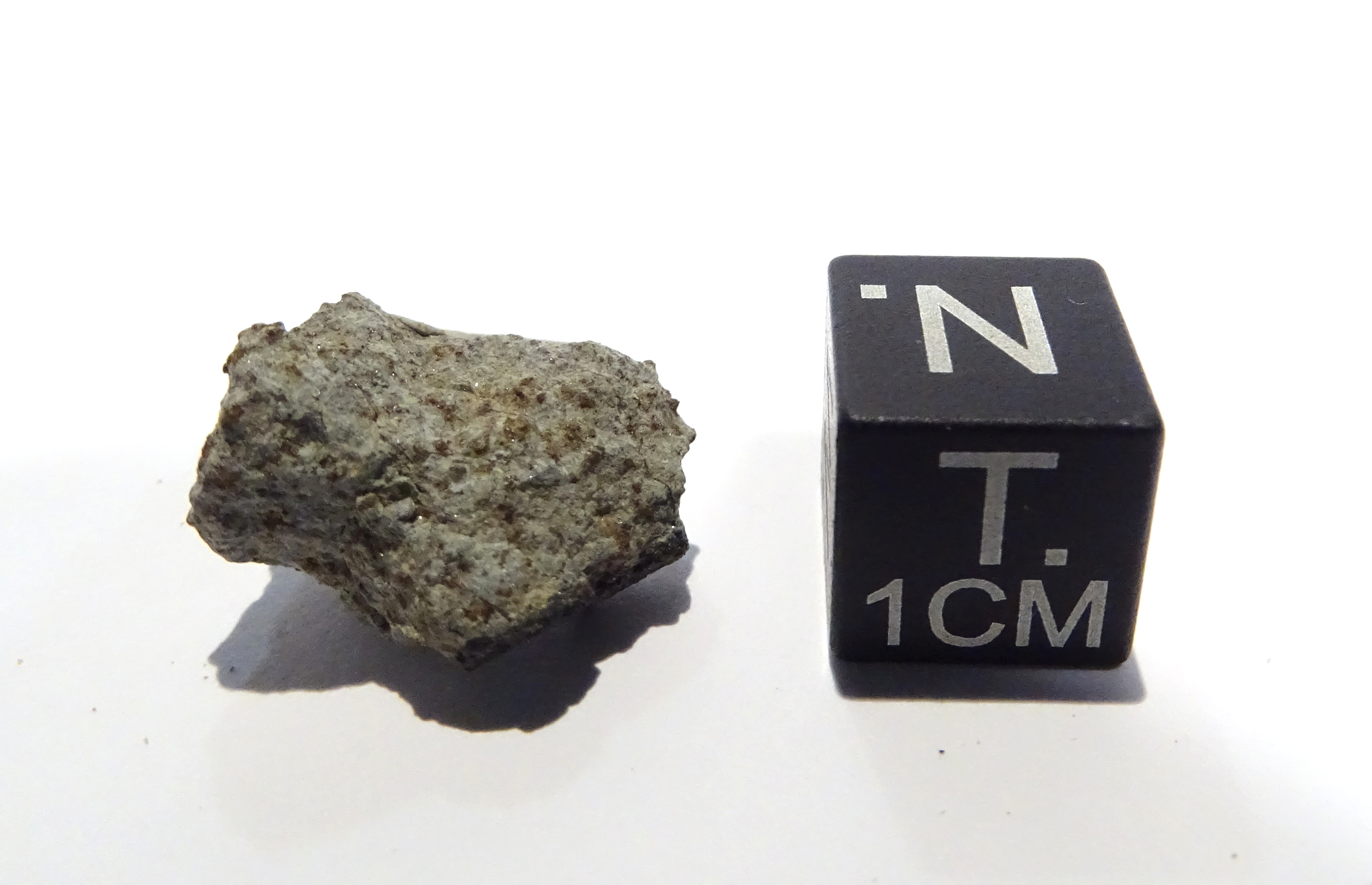 Meteorite/ Condrite Ordinaria/ Zag (esemplare)
