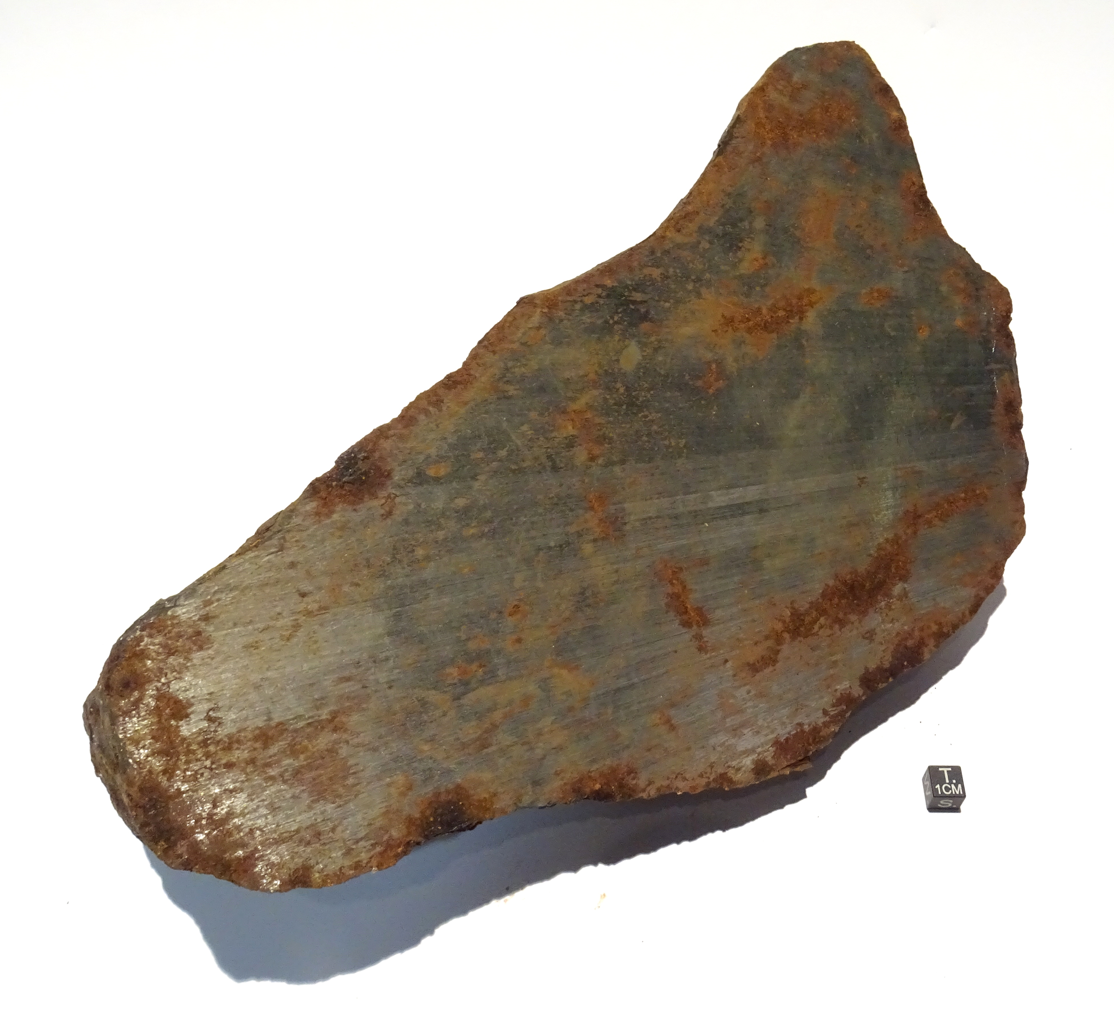 Meteorite/ Iron/ Mounionalusta (esemplare)
