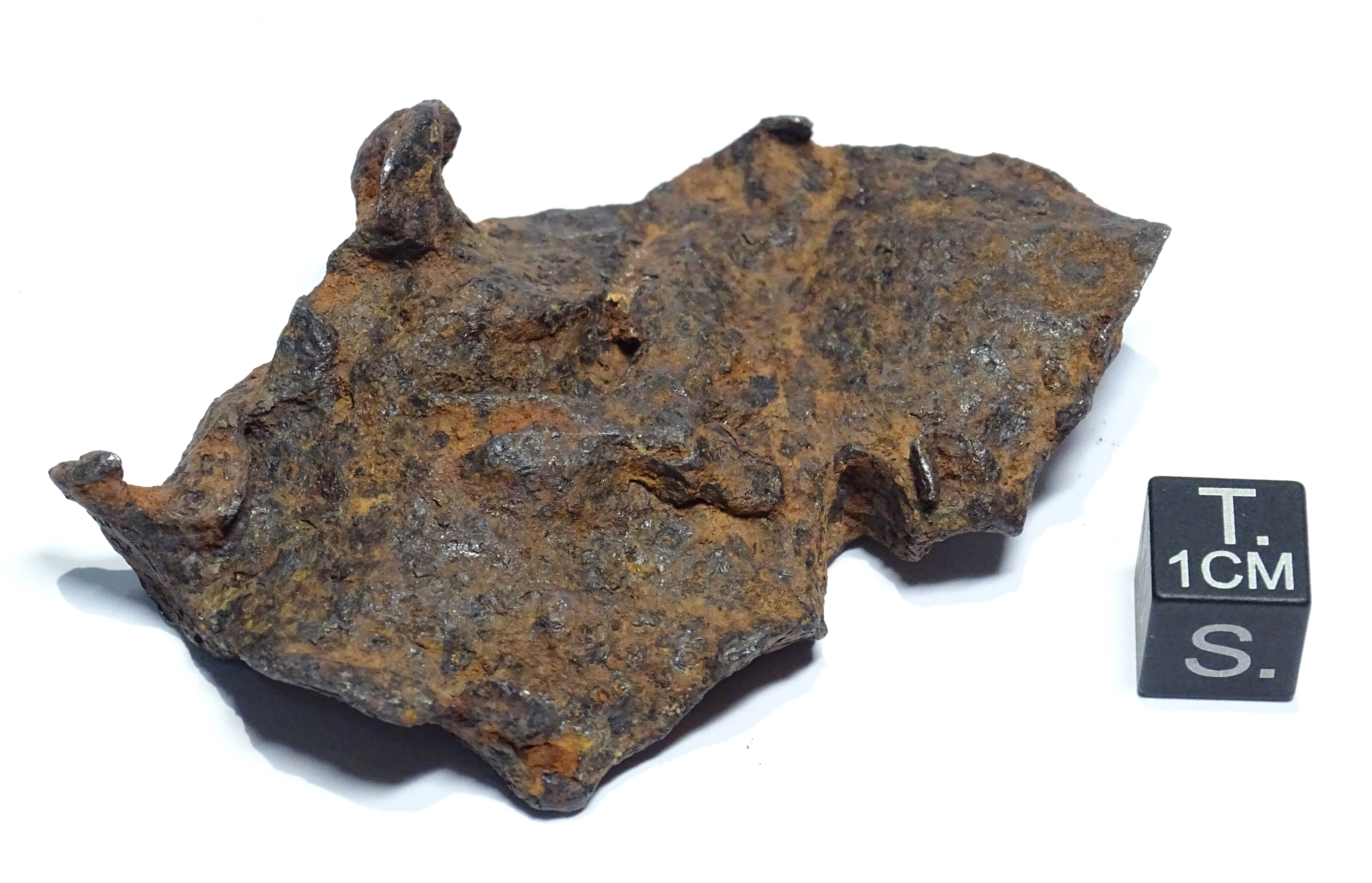 Meteorite/ Iron/ Henbury (esemplare)