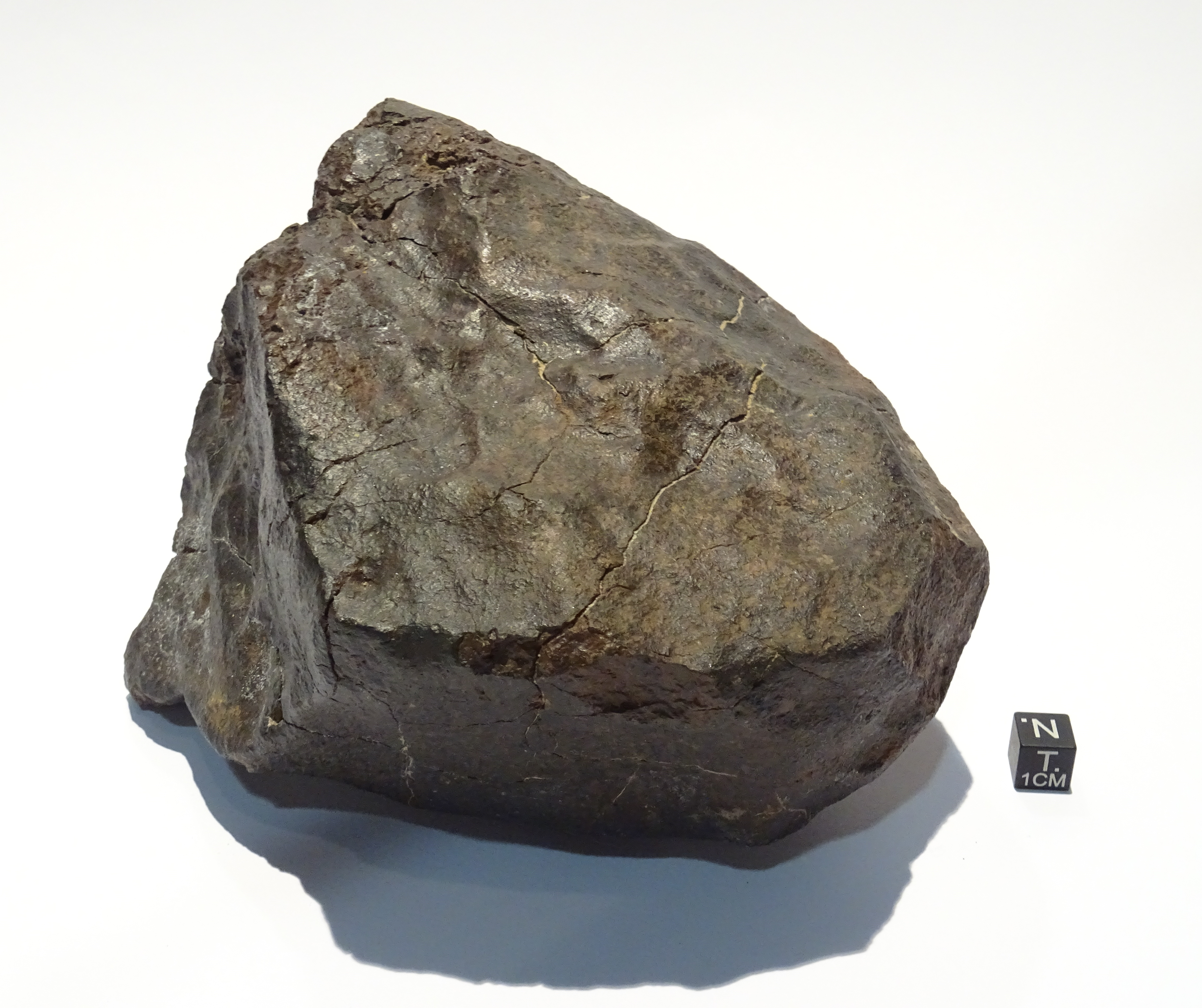 Meteorite/ Condrite ordinaria/ Dhofar 140 (esemplare)