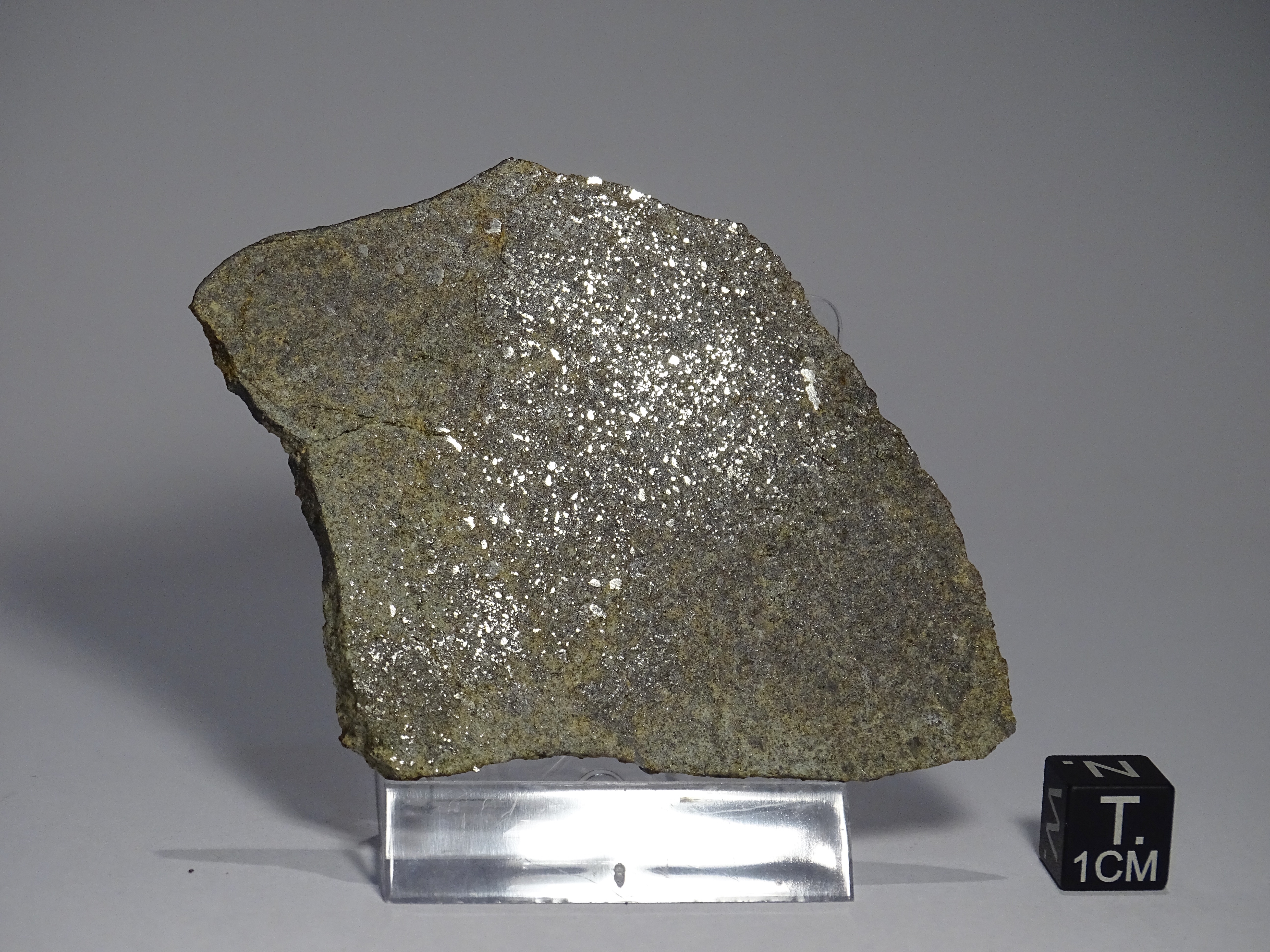 Meteorite/ Acondrite primitiva/ Tafassasset (esemplare)