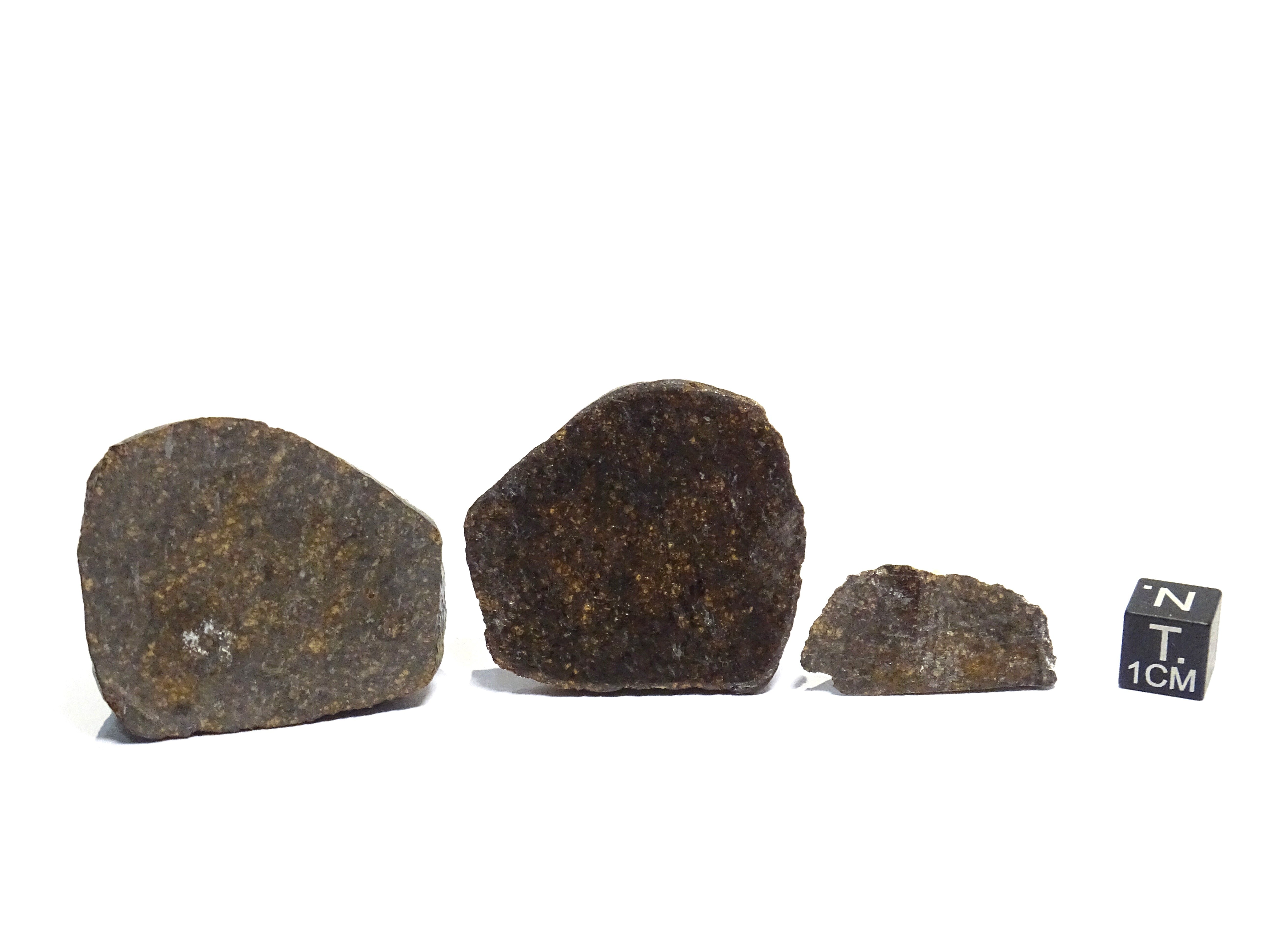 Meteorite/ Ureilite/ Dar al Gani 681 (esemplare)