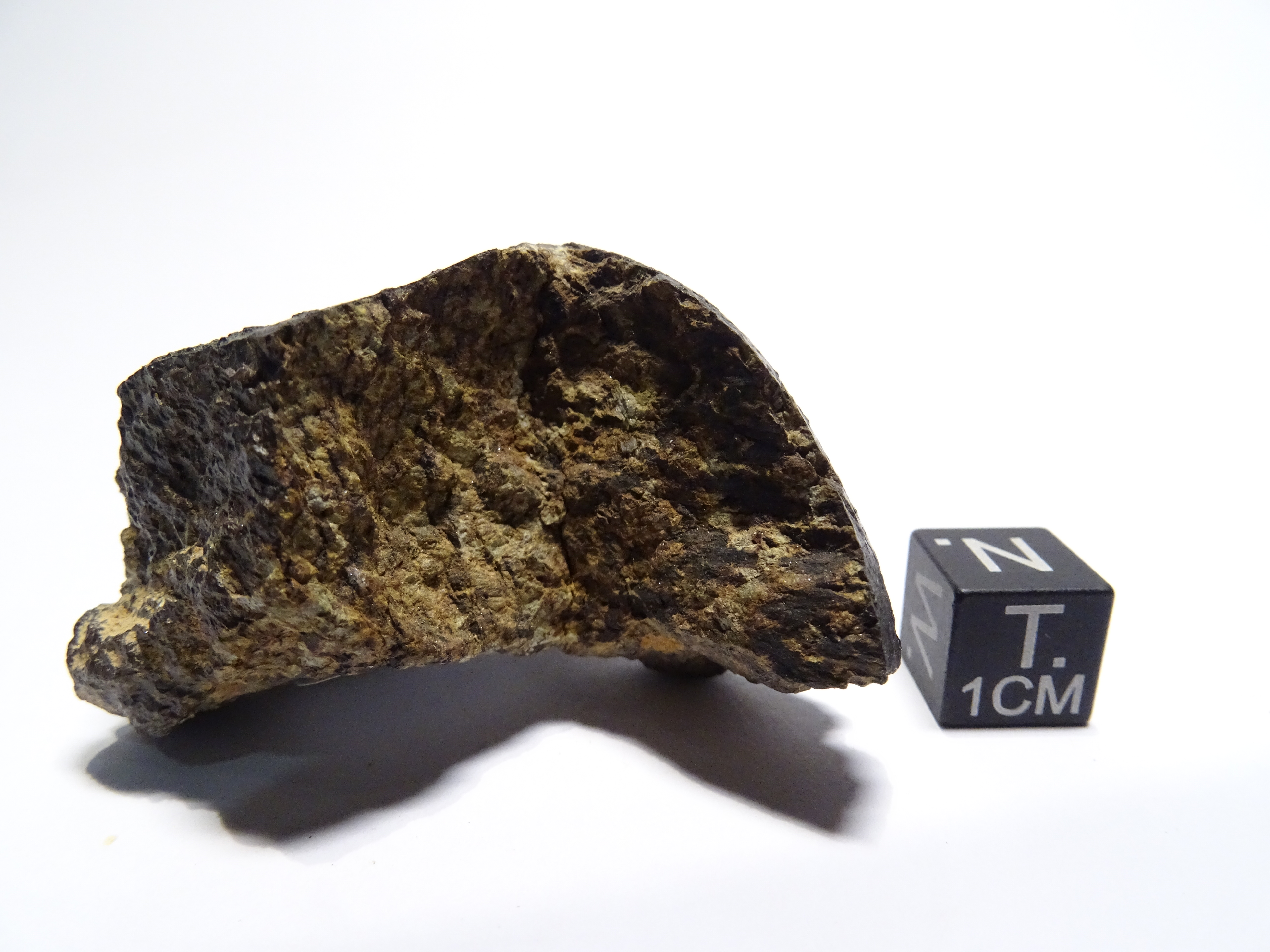 Meteorite/ Ureilite/ Dar al Gani 897 (esemplare)