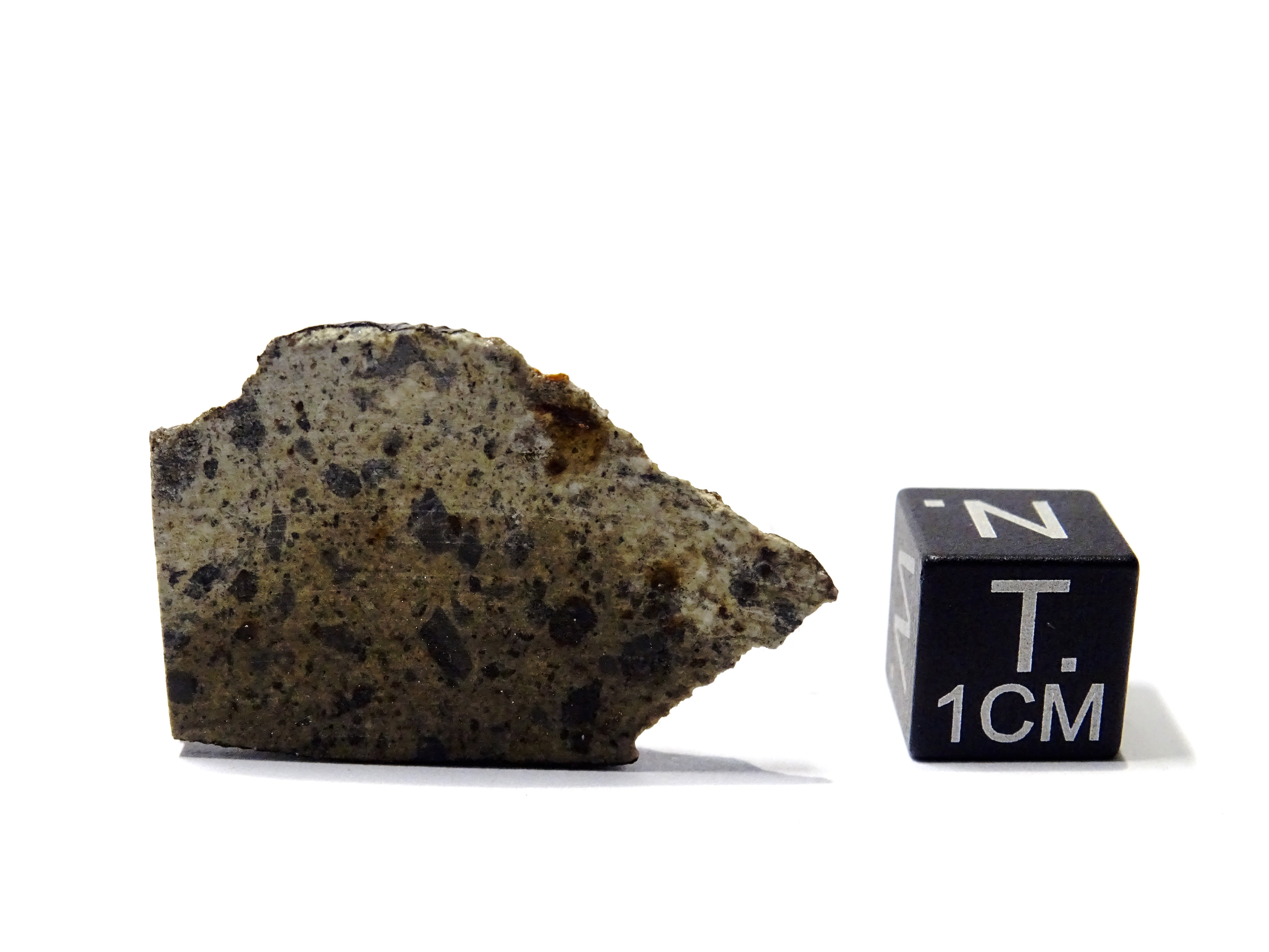 Meteorite/ Howardite/ Northwest Africa 2738 (esemplare)
