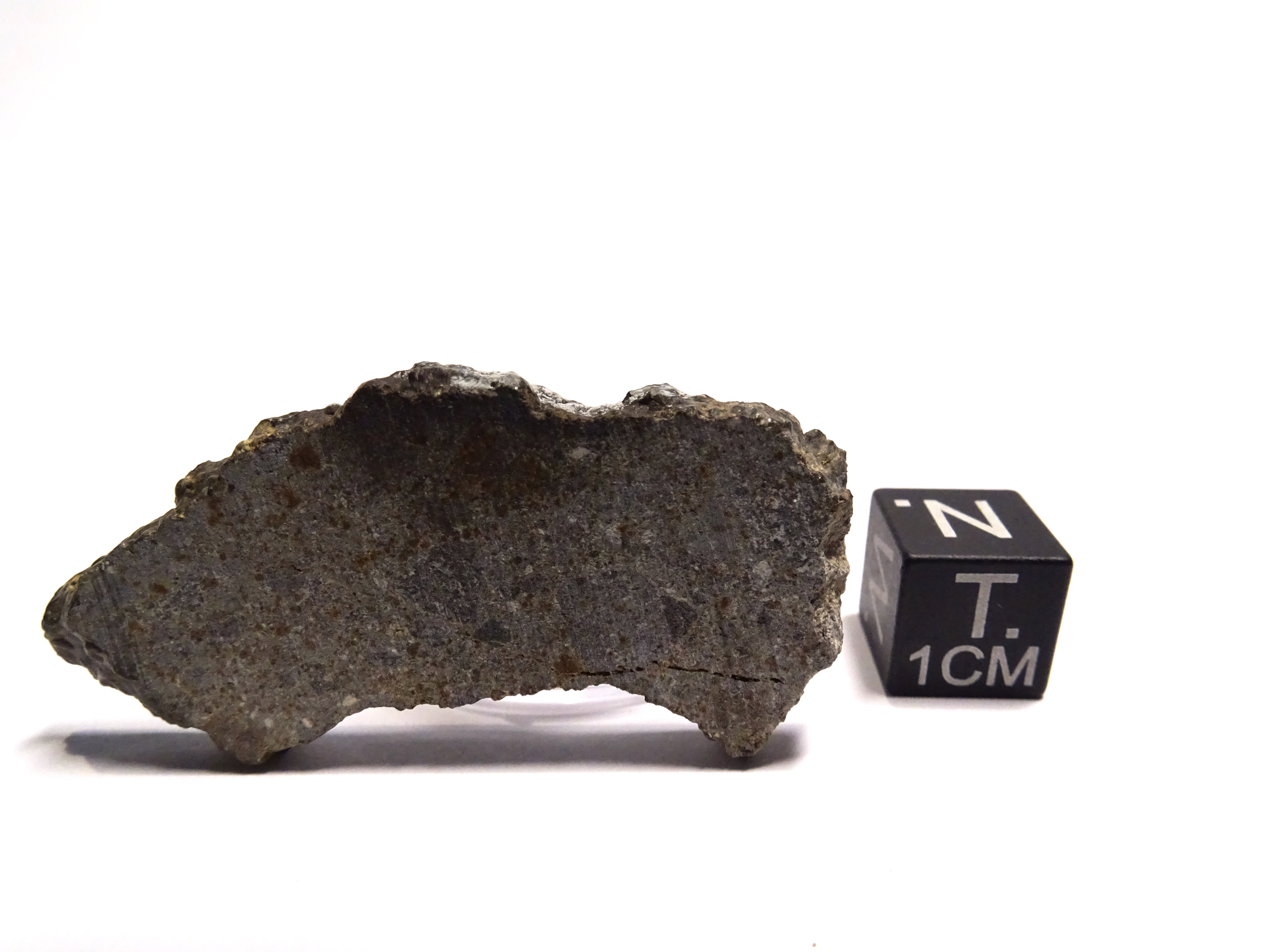 Meteorite/ Eucrite/ Northwest Africa 2177 (esemplare)