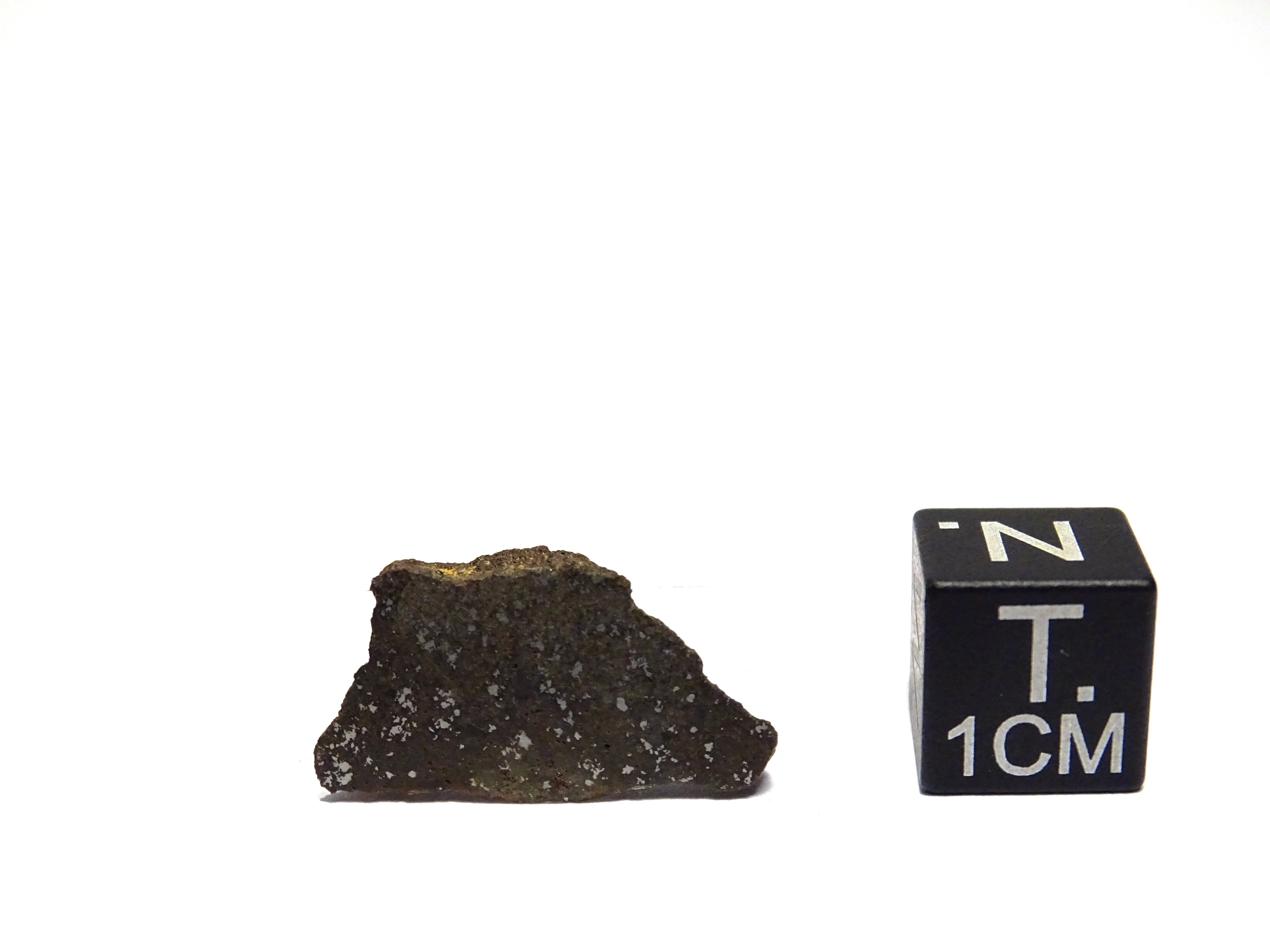 Meteorite/ Acapulcoite/ Northwest Africa 1054 (esemplare)