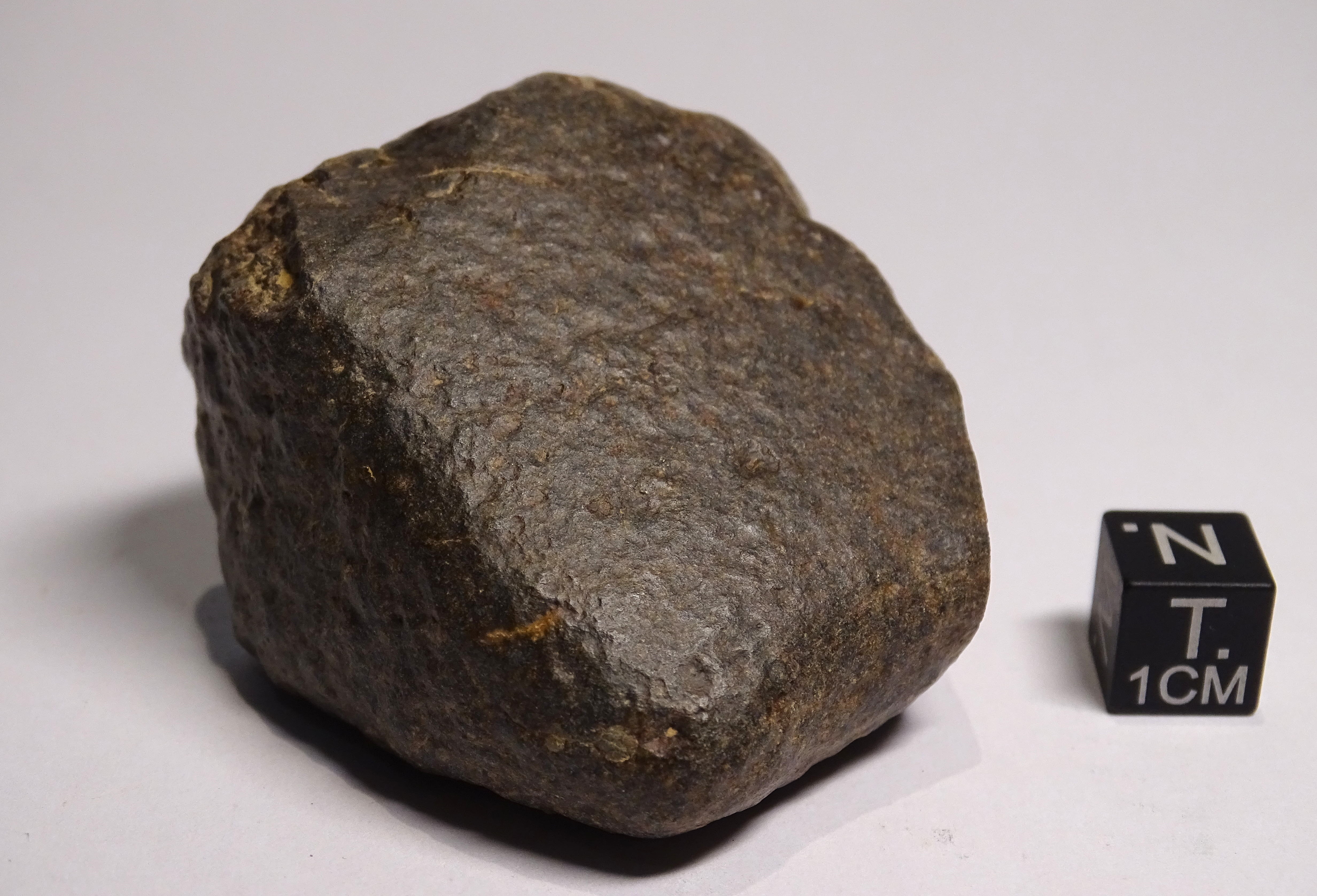 Meteorite/ Condrite ordinaria/ Dar al Gani 891 (esemplare)