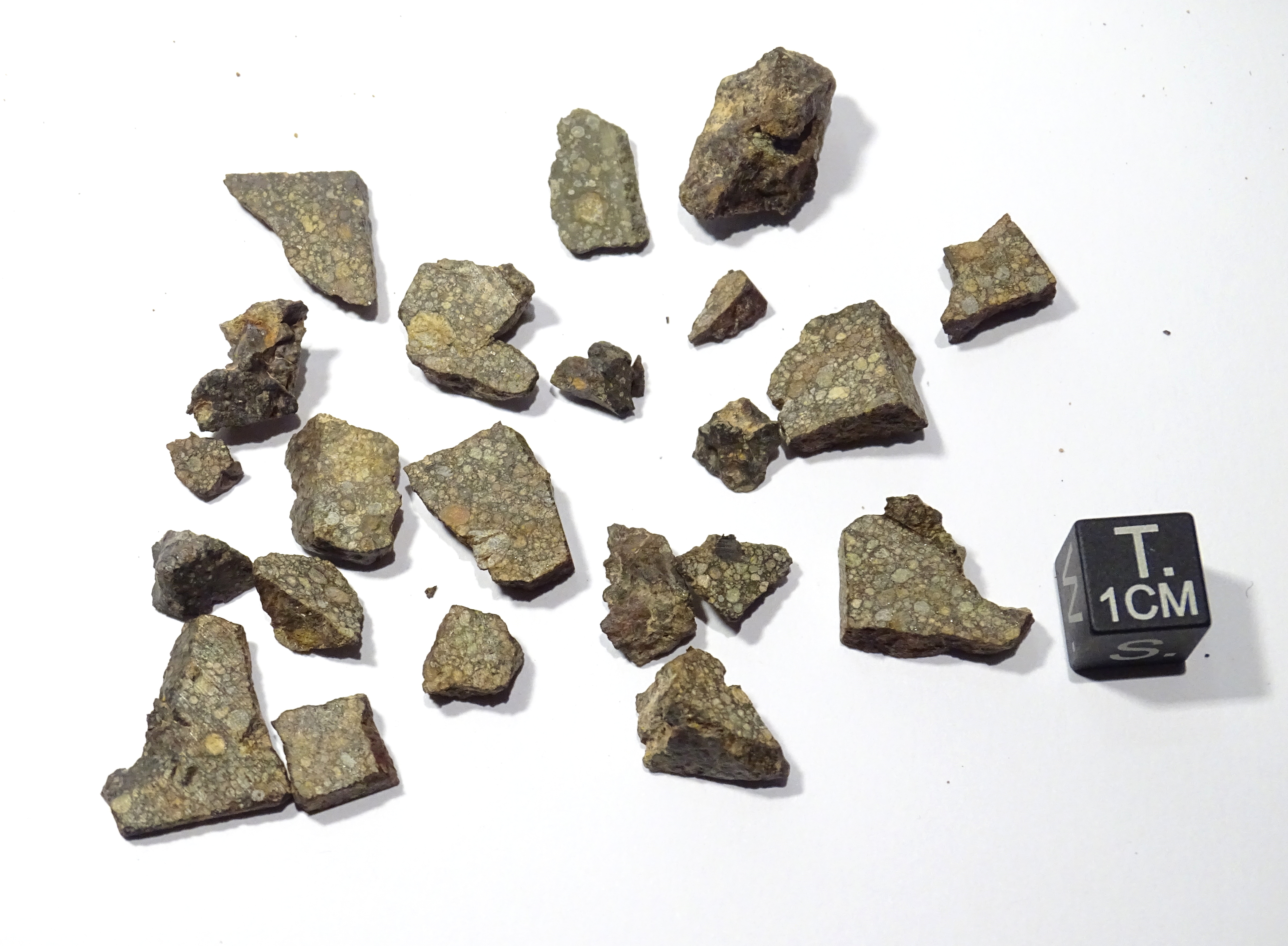 Meteorite/ Condrite ordinaria/ Northwest Africa 2179 (esemplare)